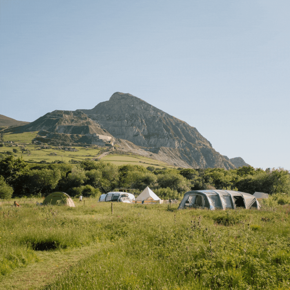 BERT’S KITCHEN GARDEN — CURATED SPACES