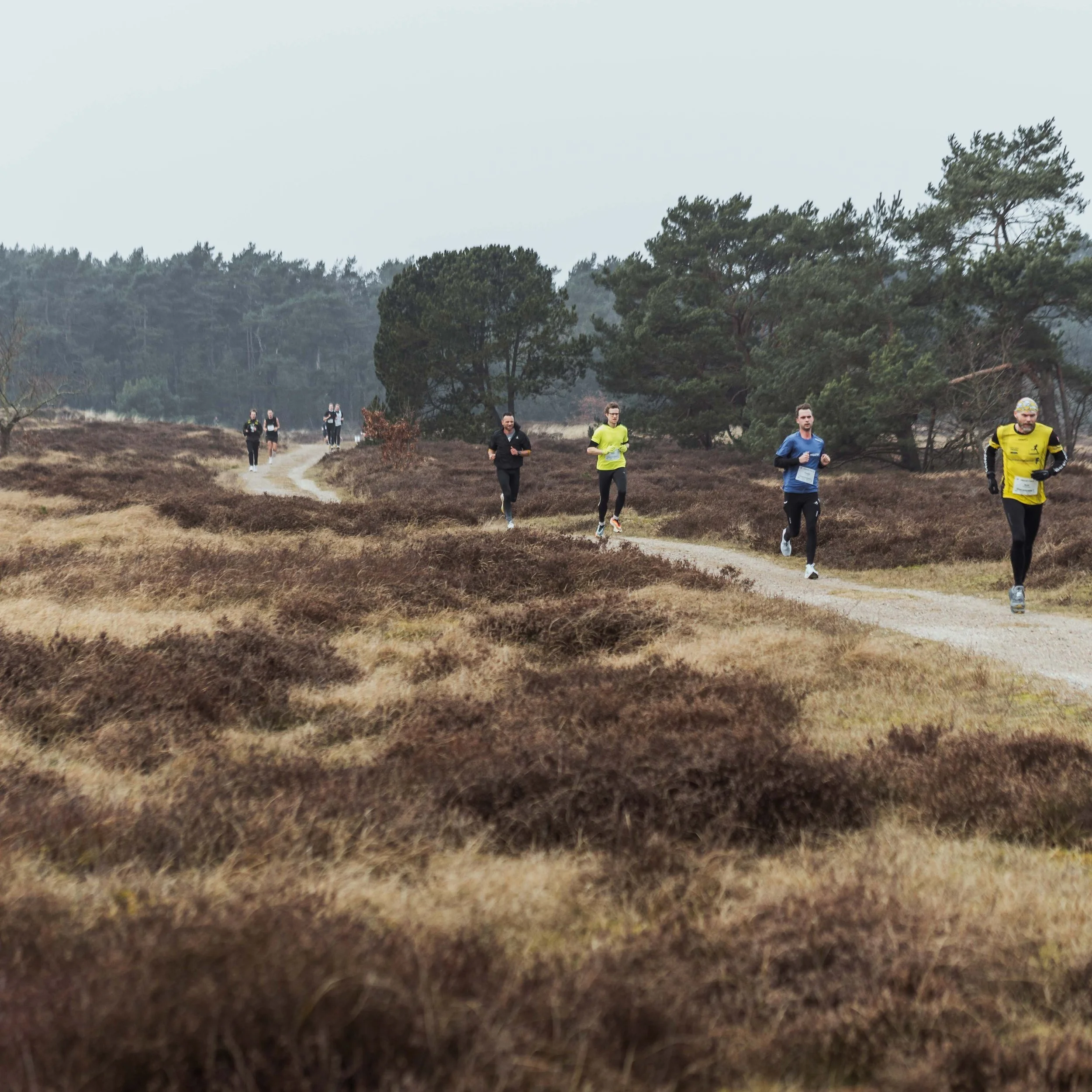 Halvmarathon danmark 2026 hegnet half