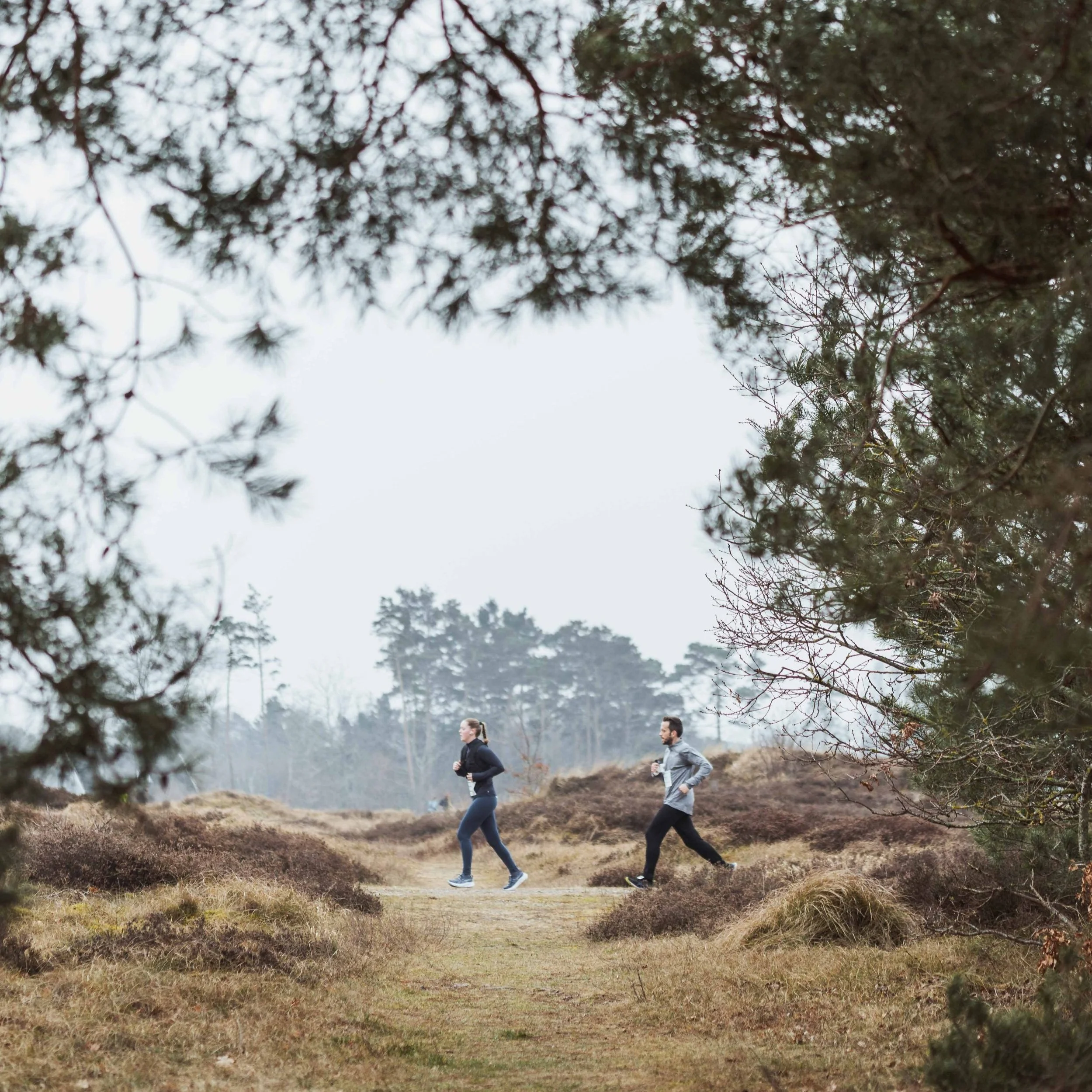 Halvmarathon danmark 2026 hegnet half