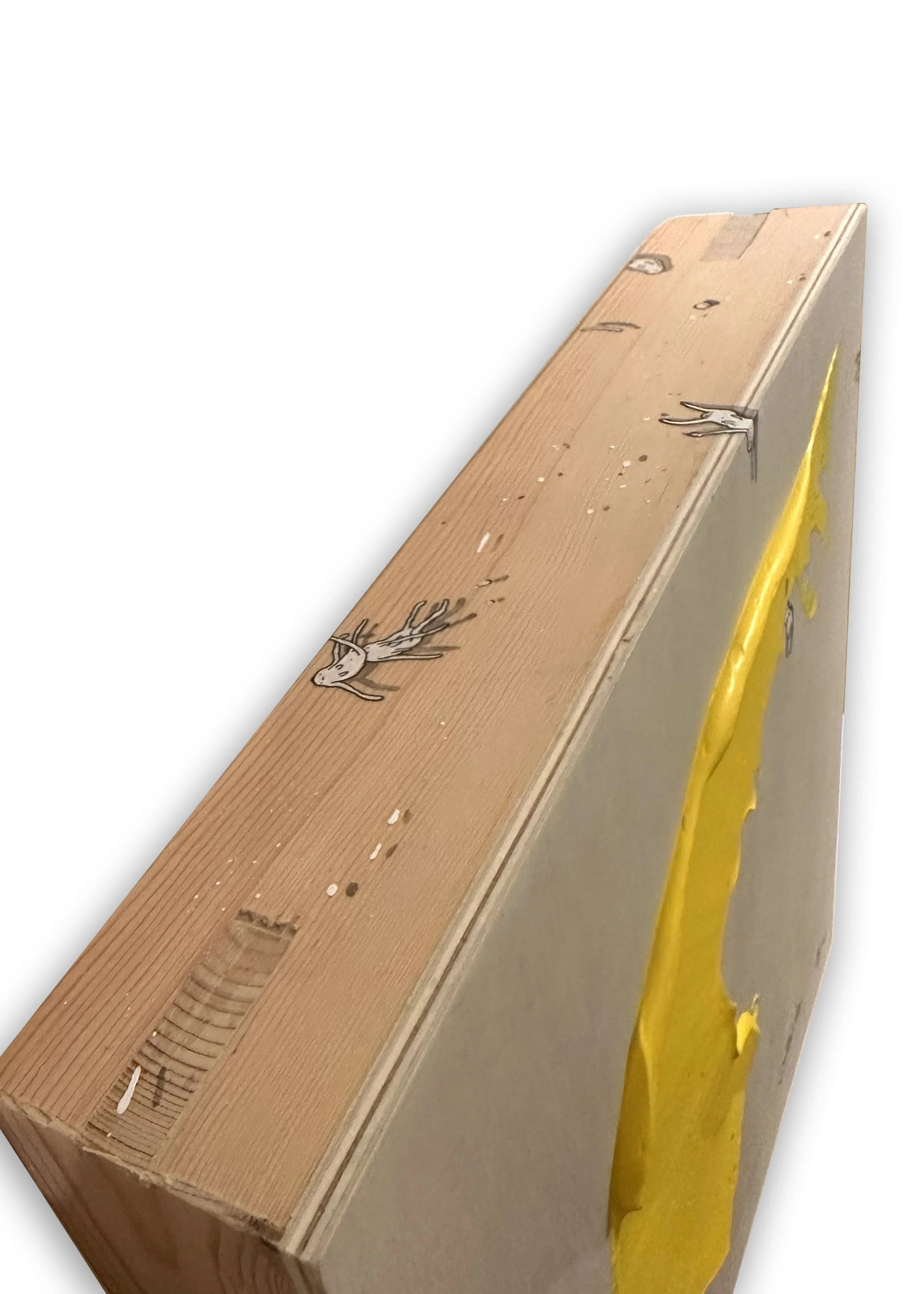 RBerner-Yellow - Medium-1b.jpg