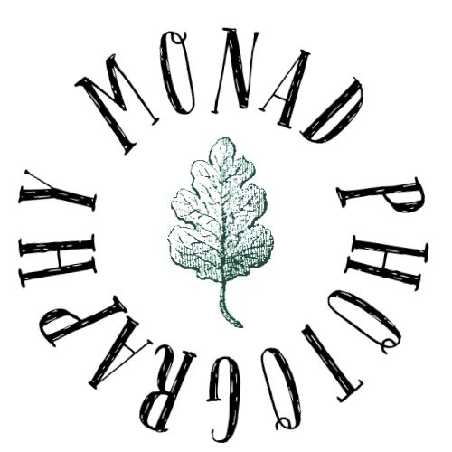 Monad Photography, Isle of Anglesey Photographer &amp; Artist