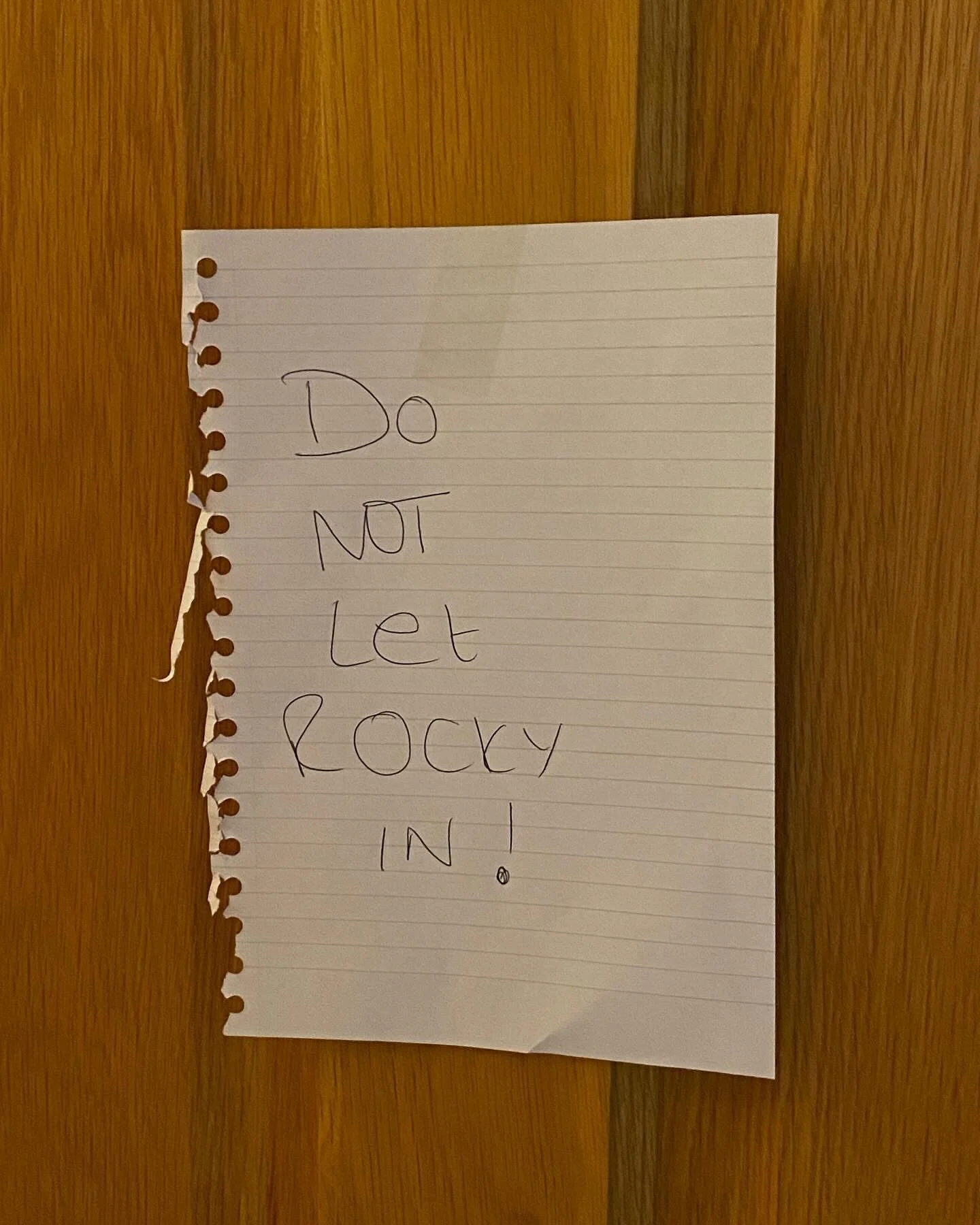 When ur trying to get ready for #tedberrymarket 🙈🖤🤣