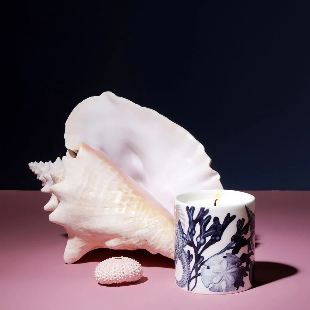 beachcomber-candle-min_ae3ac19e-bc4e-4f2f-9dd1-26e37e9135d4.jpg