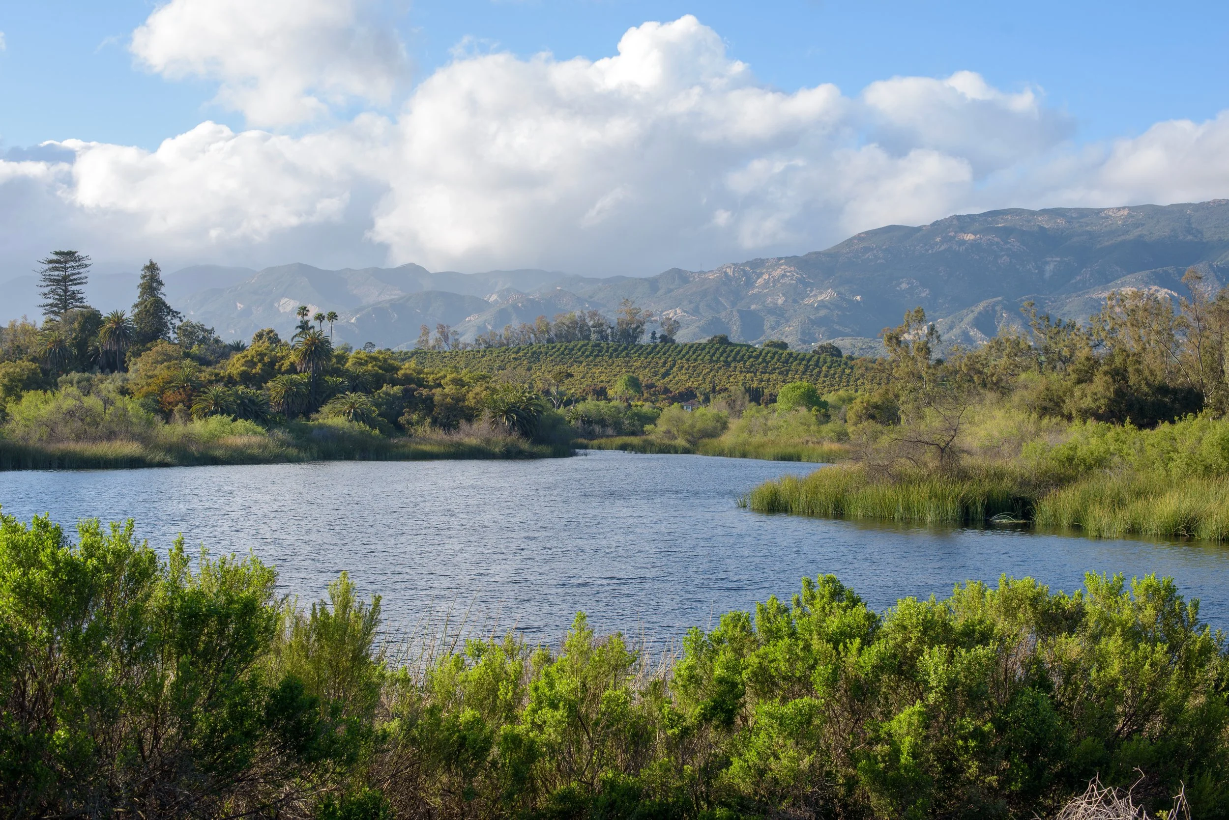 A scenic landscape of a river surrounded by lush green trees and bushes, with mountains in the background under a partly cloudy sky.