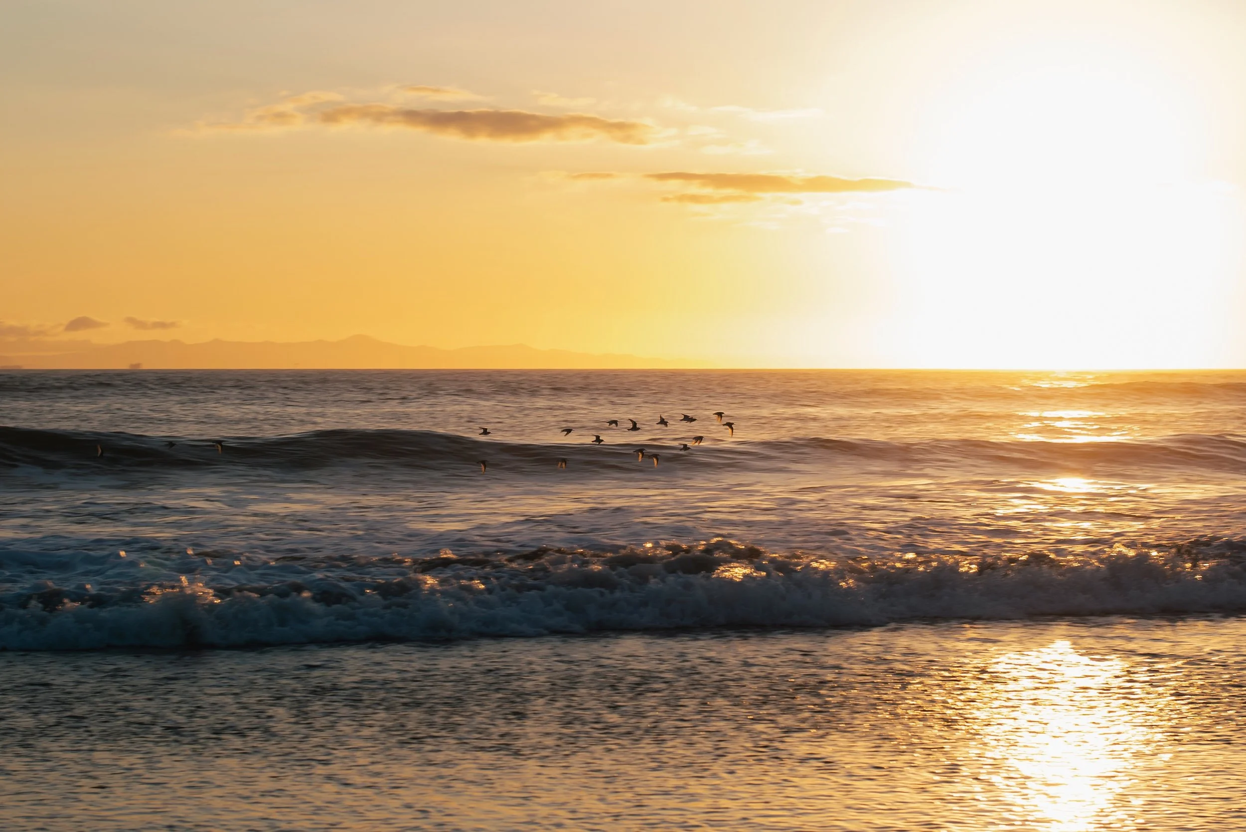 Sunset over the ocean with waves and a flock of birds flying near the horizon