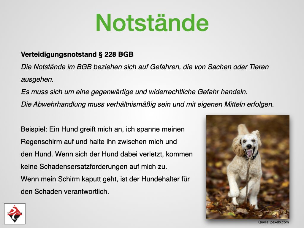 Ein Poster mit dem Titel 'Notstände' erklärt das Verteidigungsnotstand nach § 228 BGB in Deutschland, mit einem Beispiel eines Hundes, der einen Regenschirm hält.