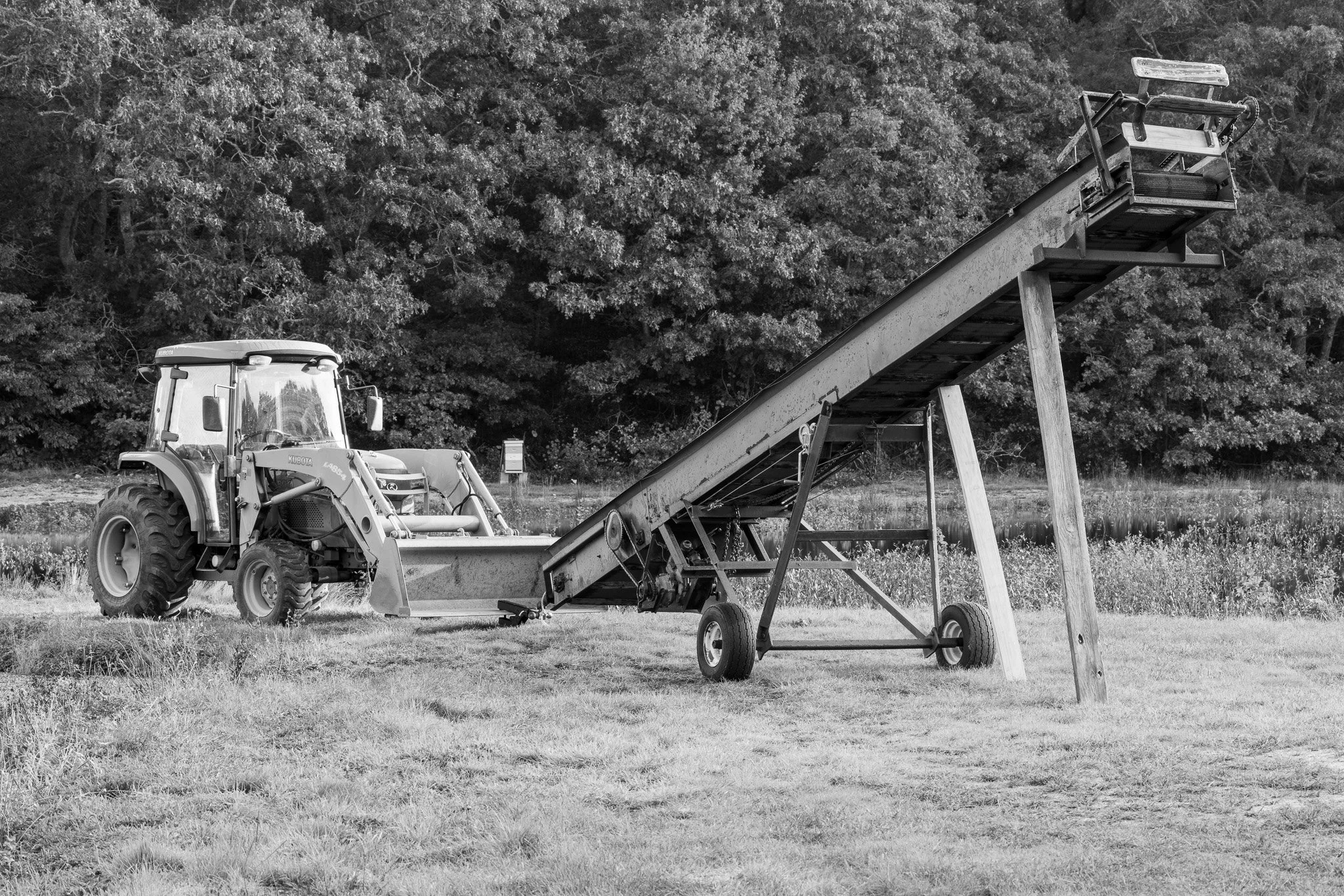 Cranberry Tractor - Copyright John Arnold