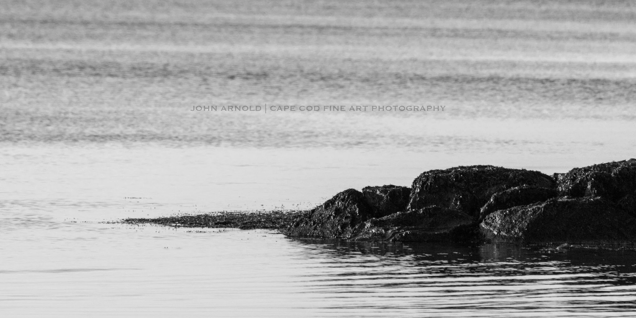 Bay Rocks In Black And White - Cotuit