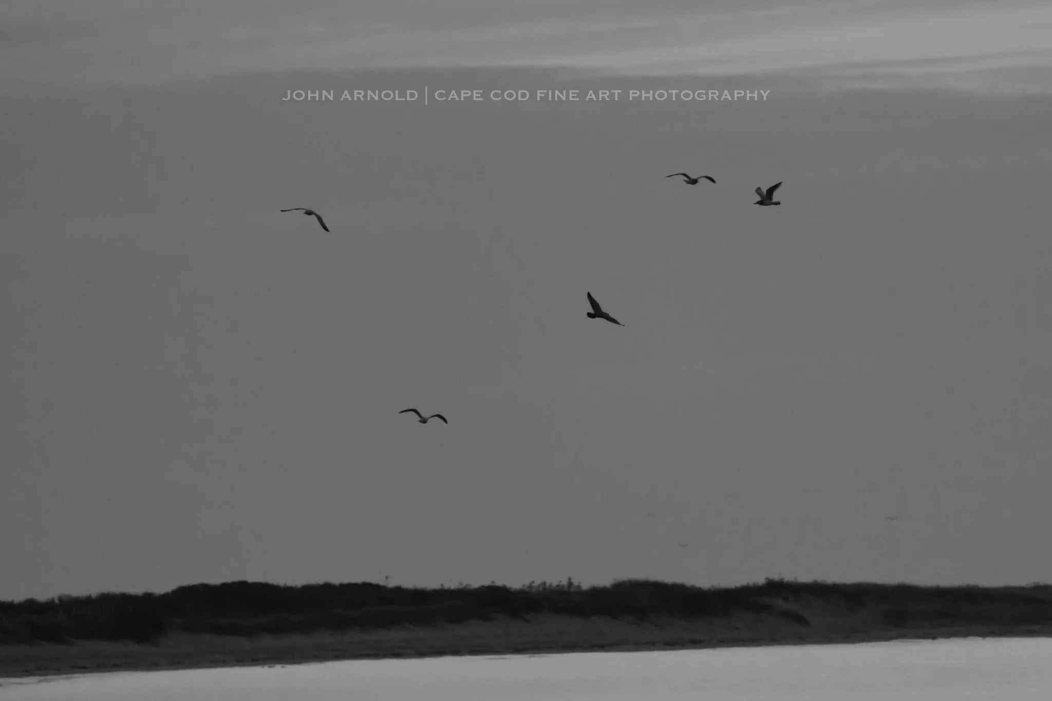 Scattersoaring - Osterville