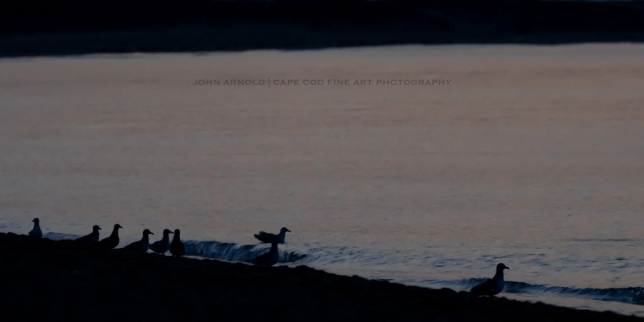 Shadowgulls - Mashpee