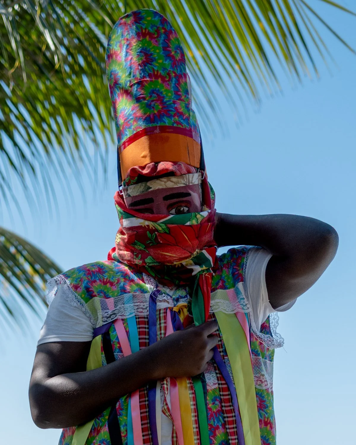 Masquerader / Montserrat / 12-25