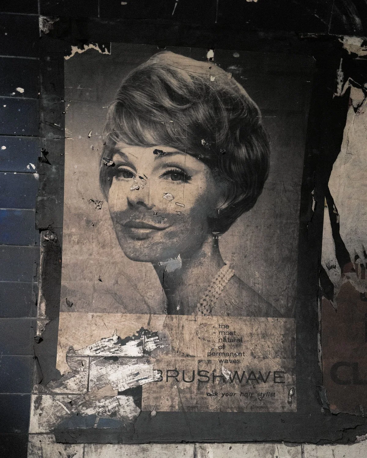 euston_brushwave1.jpg