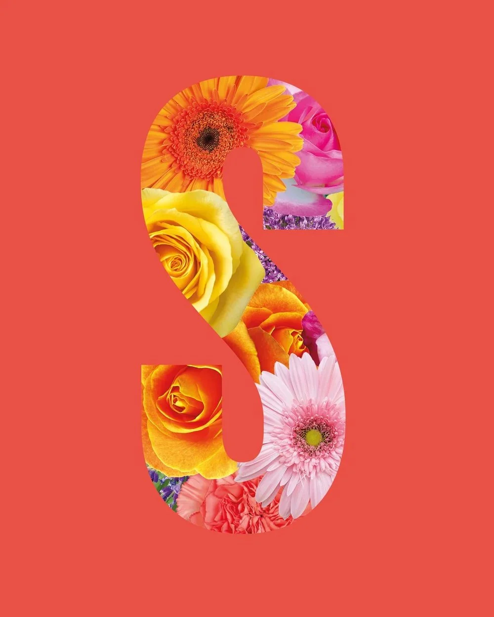 WELCOME TO STUDIOTARP / PHOTO + IMAGE