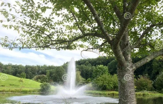 Pond Fountain Winterization