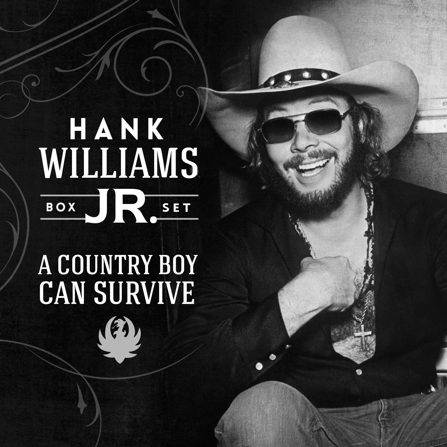 Hank Williams, Jr. - A Country Boy Can Survive.jpeg