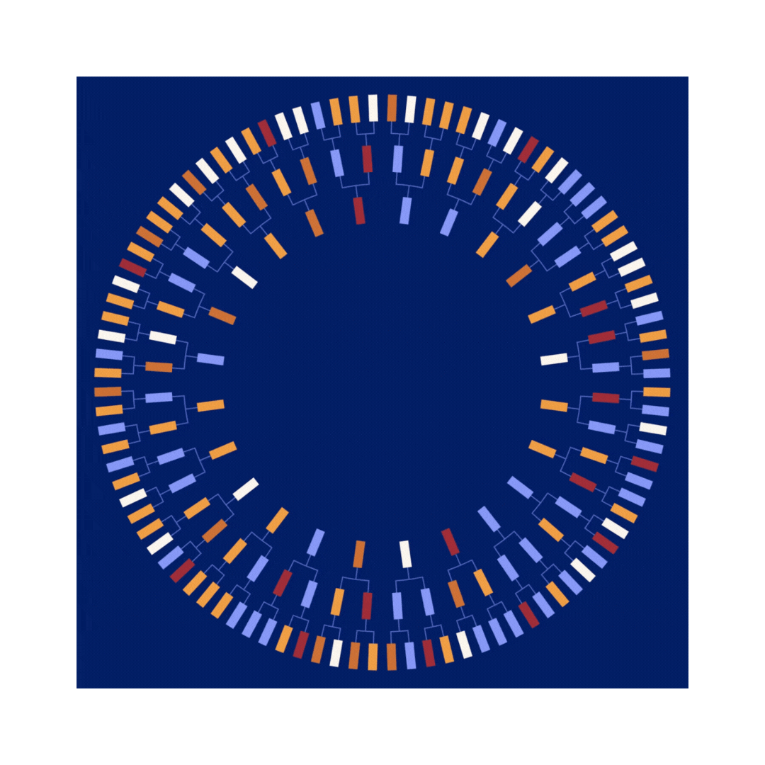 The Leadership Rounds wheel frame