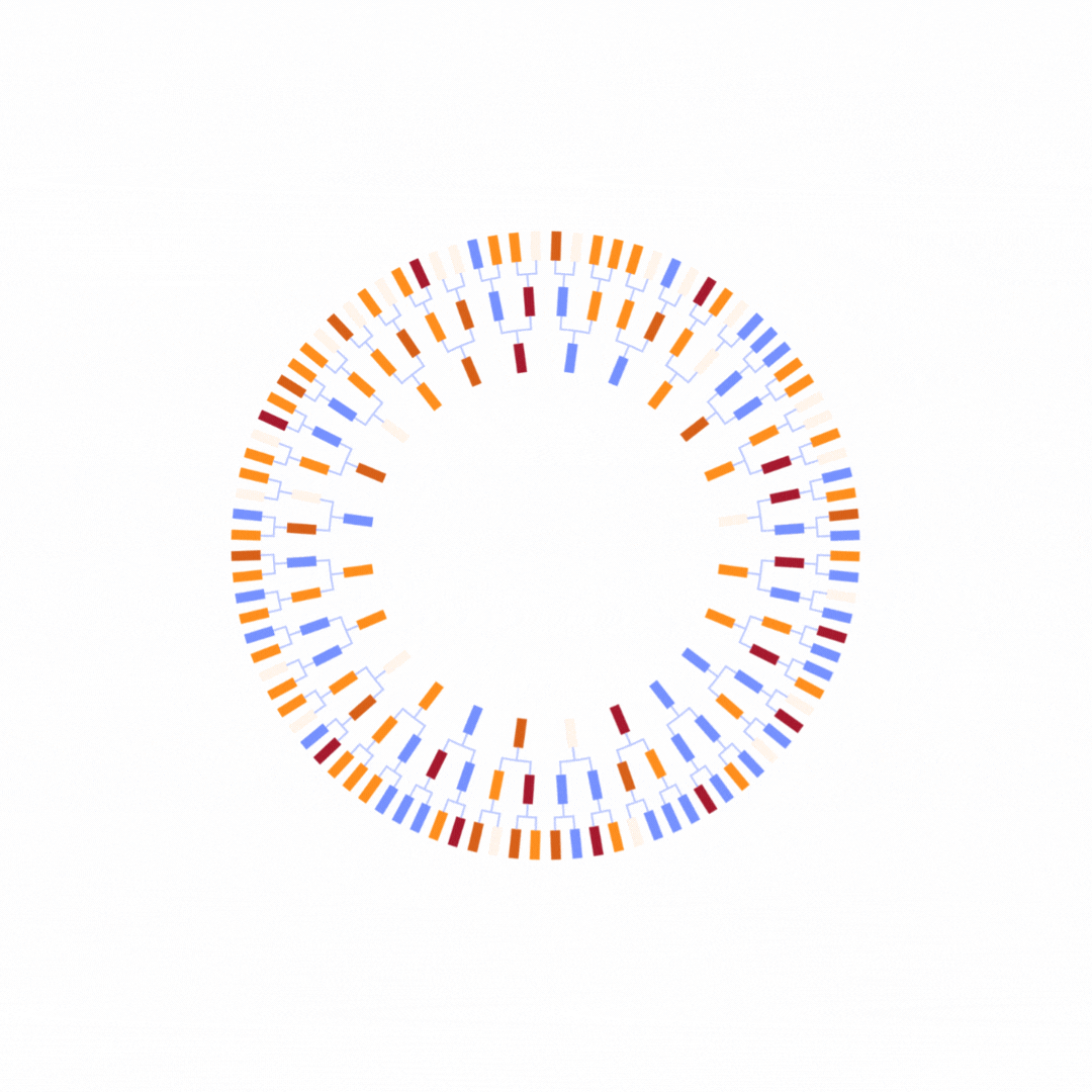 The Leadership Rounds wheel graphic device