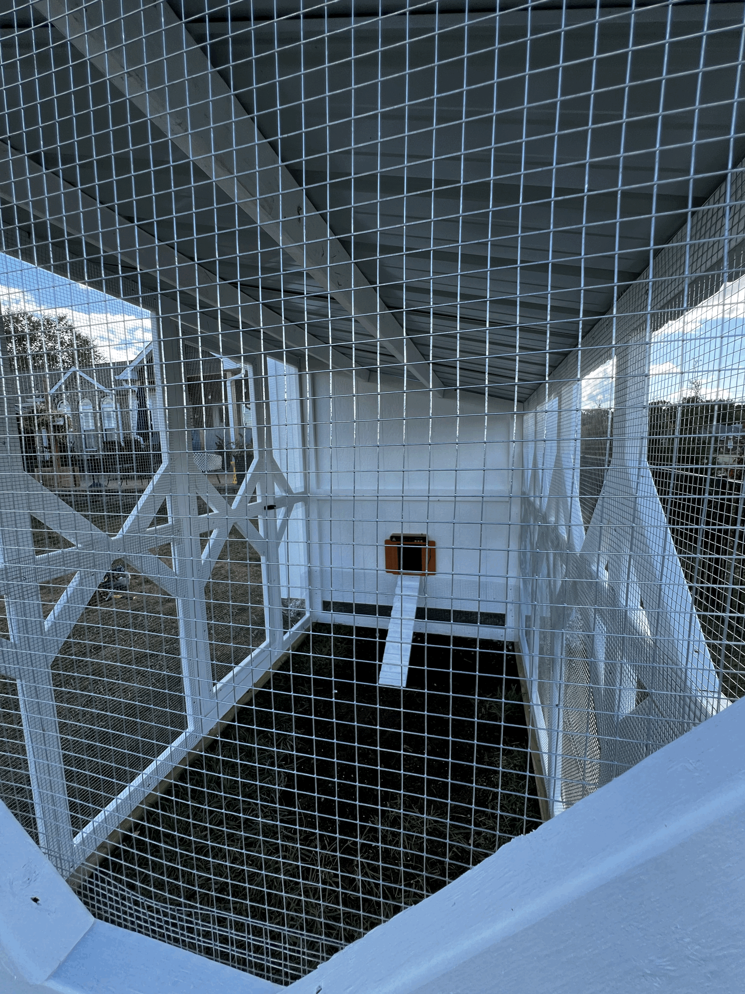 tempImagerTKevC.gif