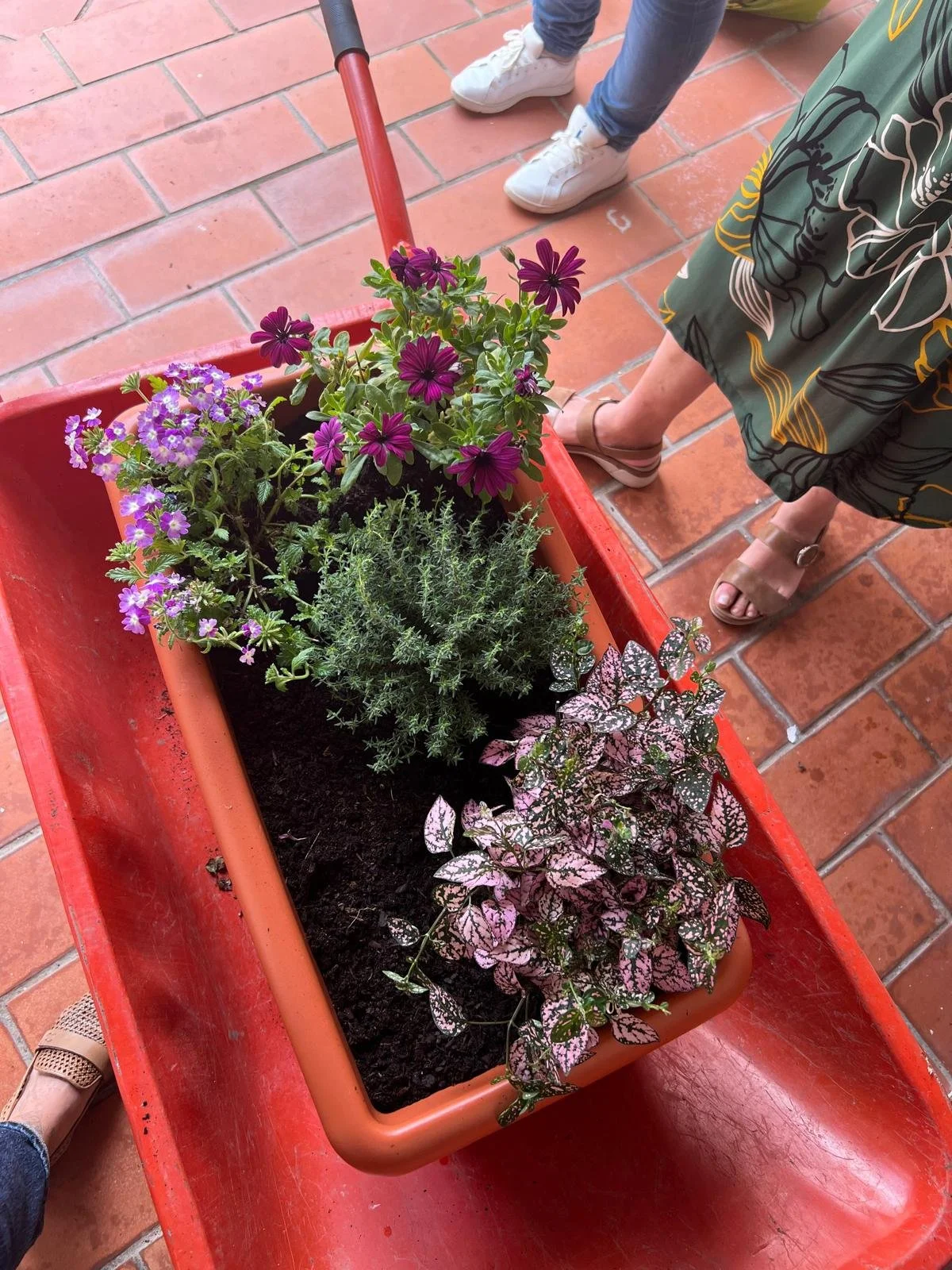 WhatsApp Image 2024-09-26 at 18.17.00 (3).jpeg