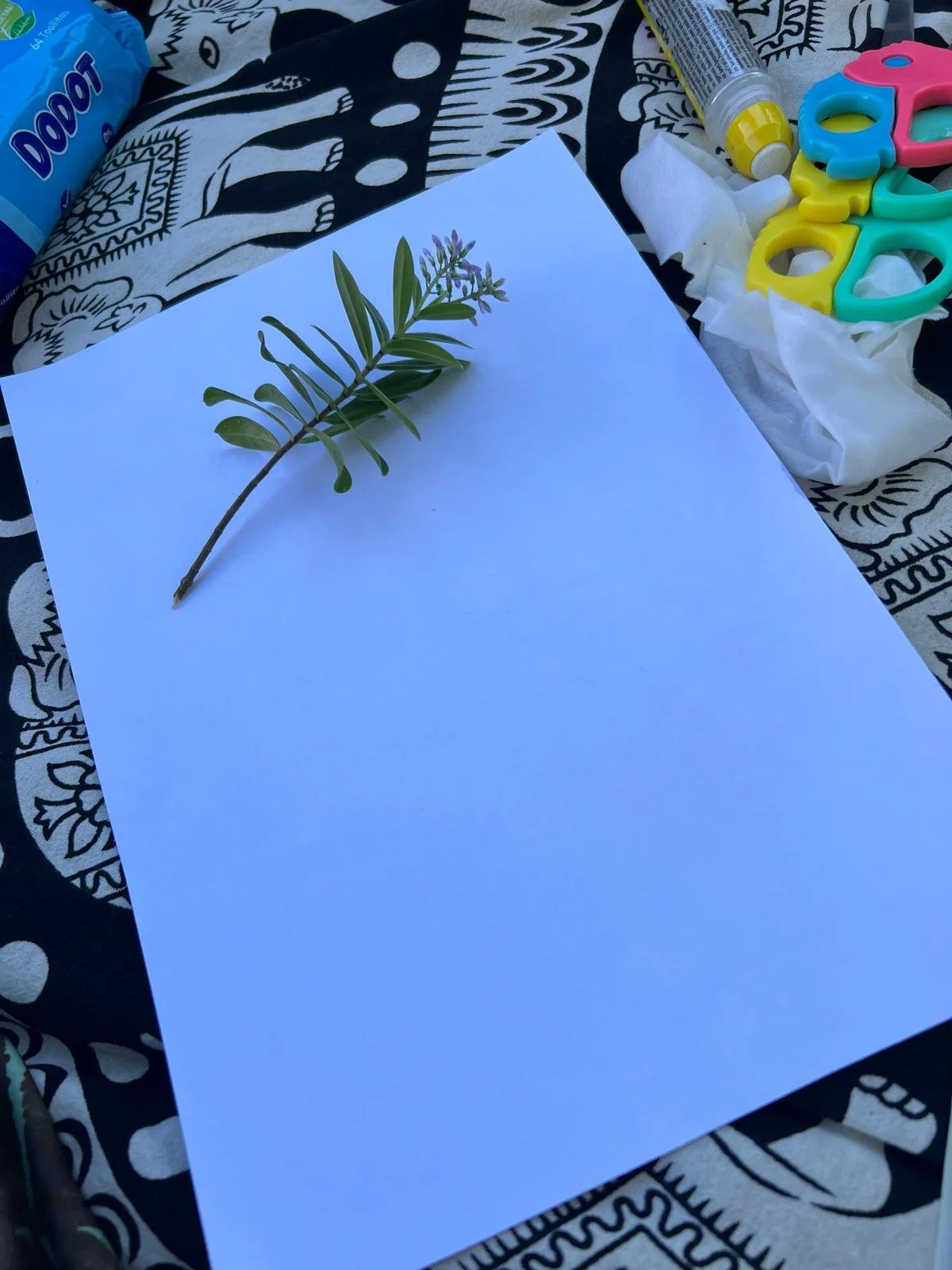 WhatsApp Image 2024-09-26 at 18.27.48 (2).jpeg