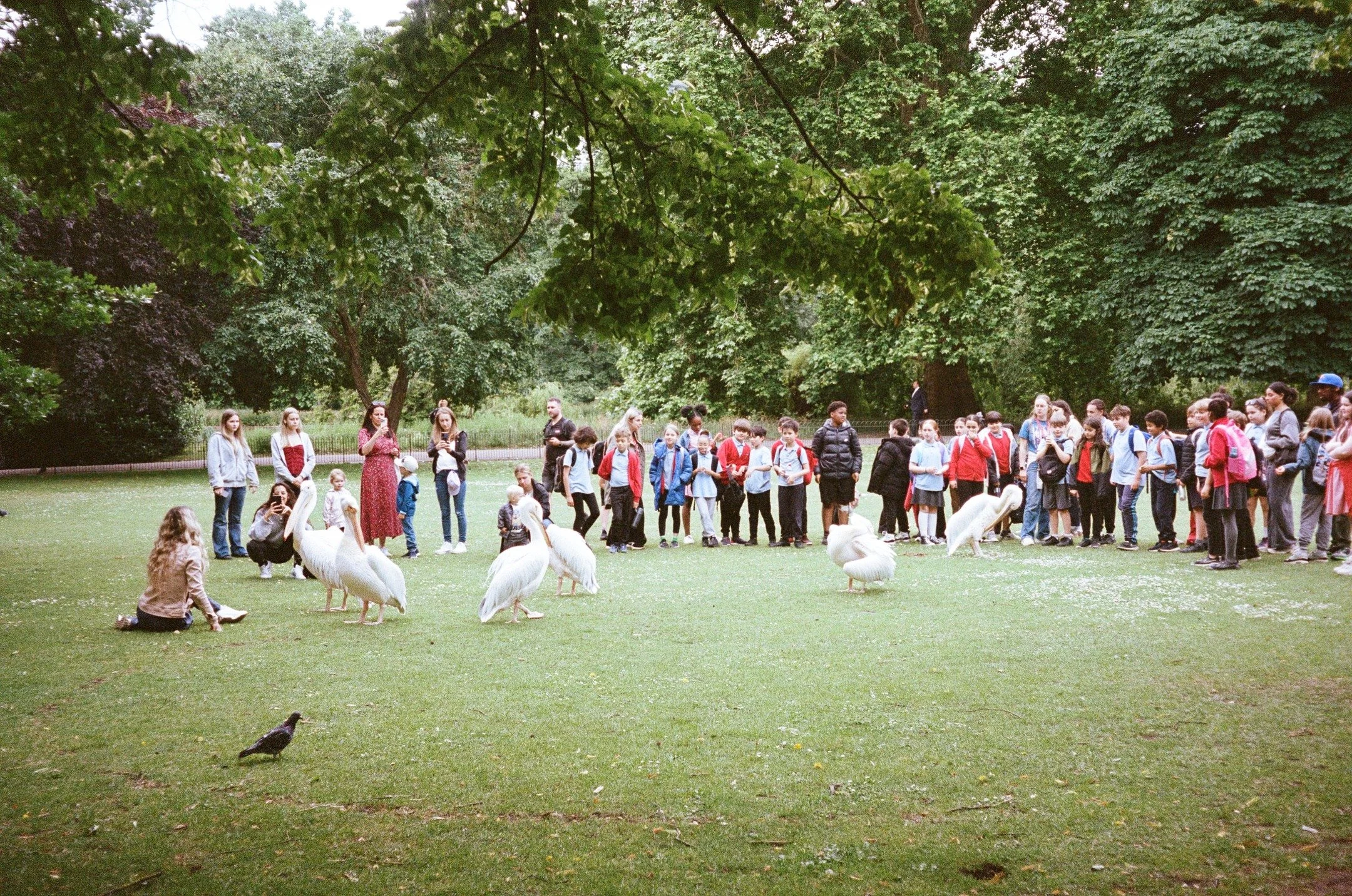 🥁🦆🤸&zwj;♀️🎠🎋