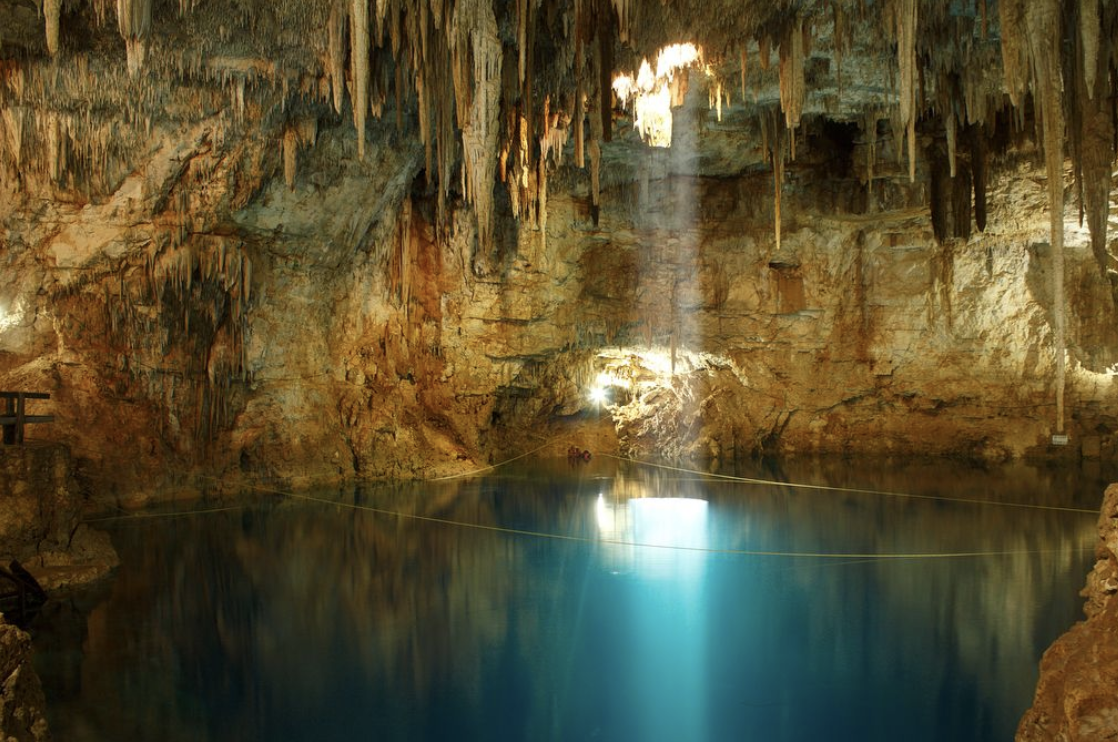 Screenshot 2023-08-23 at 10.00.28 AM.png