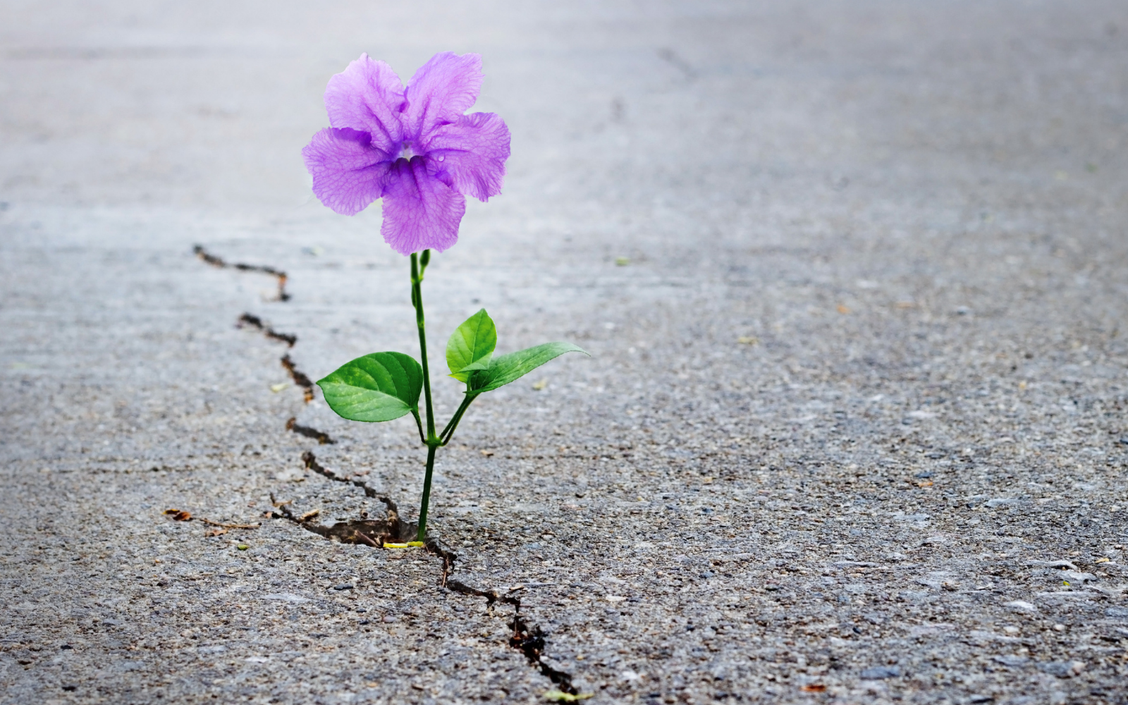 Why Your Biggest Roadblocks Are Actually Your Greatest Progress