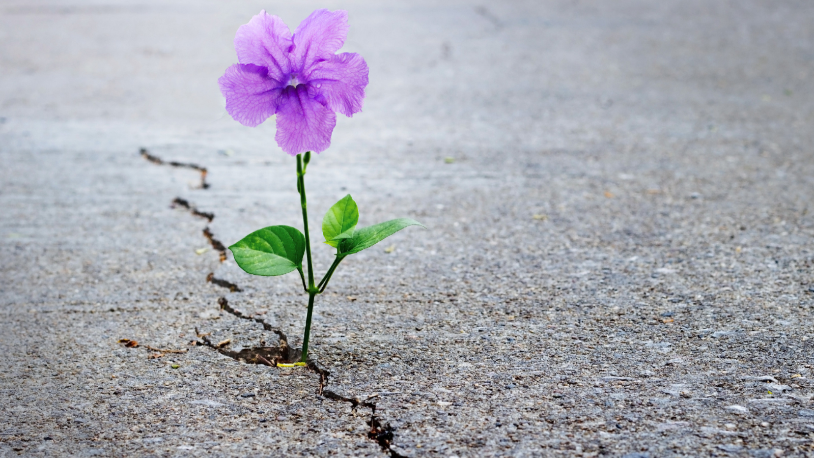 Why Your Biggest Roadblocks Are Actually Your Greatest Progress