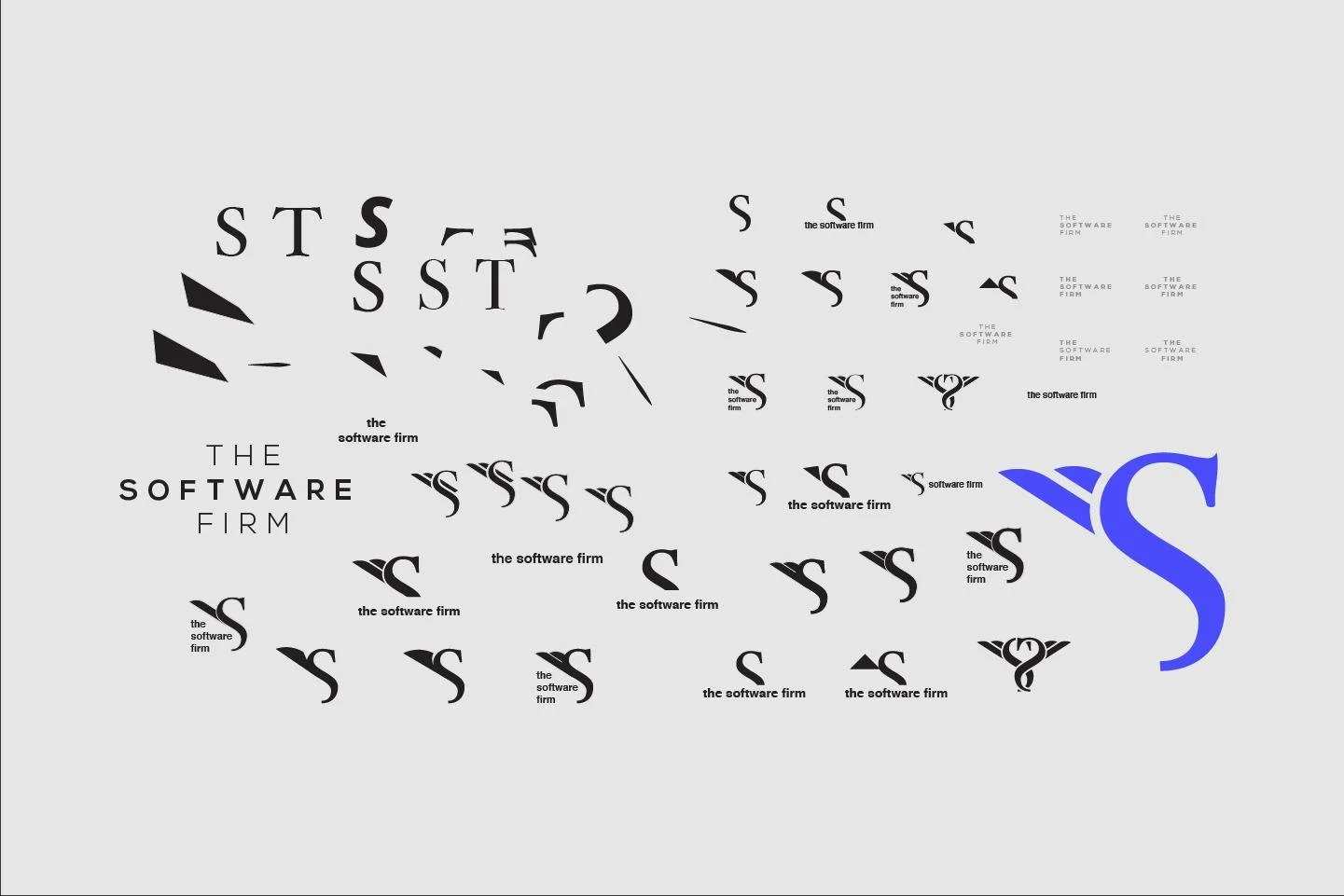 the-software-firm-logo-ideation-to-fruition.jpg