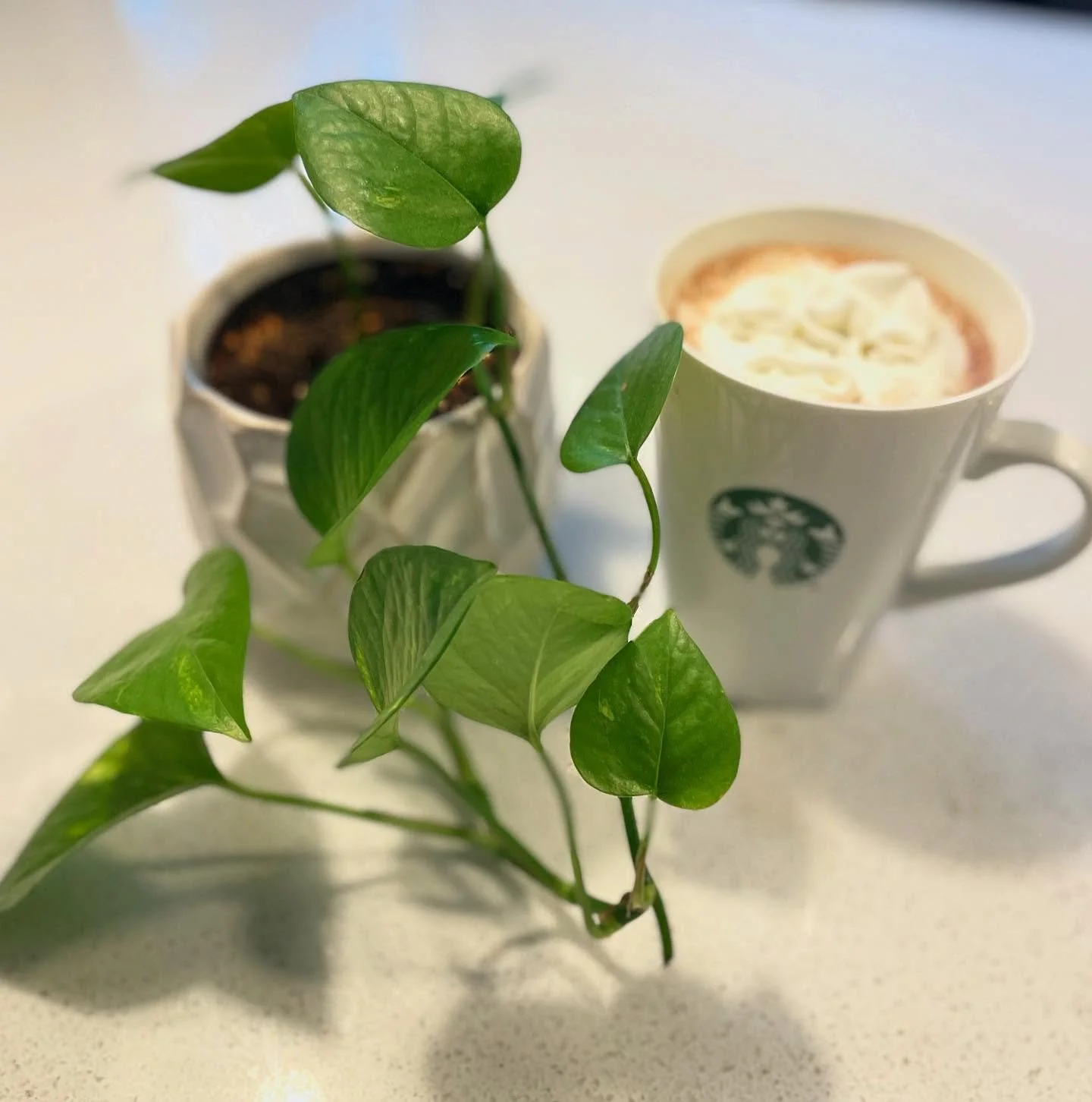 What are your plans as we slide into the weekend? It already feels like Friday to me.  I don&rsquo;t know why. 🤷&zwj;♀️ Picking up a kid from college for a weekend visit. Also might try and relax by reading a book suggested by @candaceaspencer 📚Che