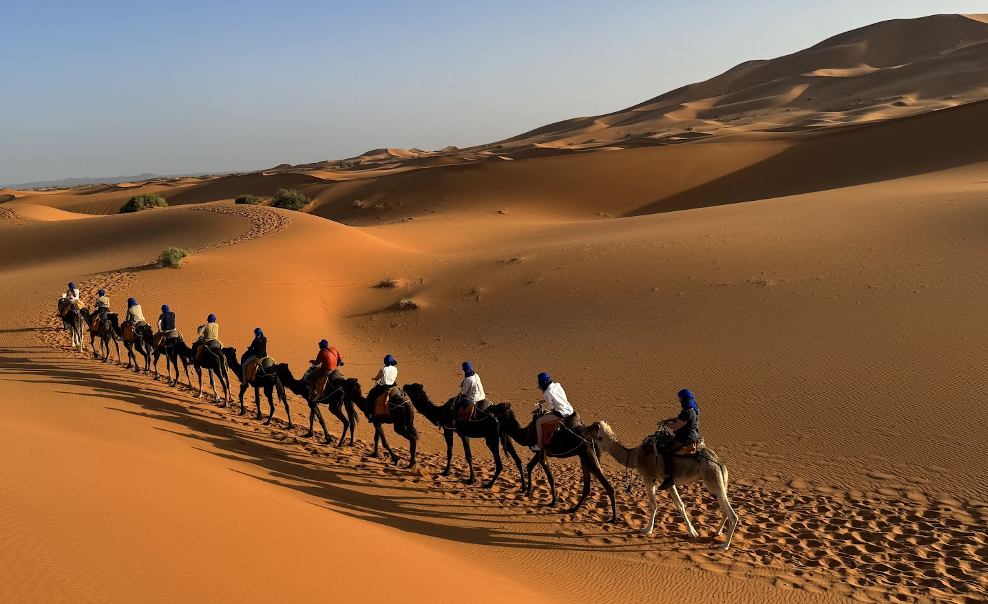 Group of people riding camels through a desert with sand dunes.