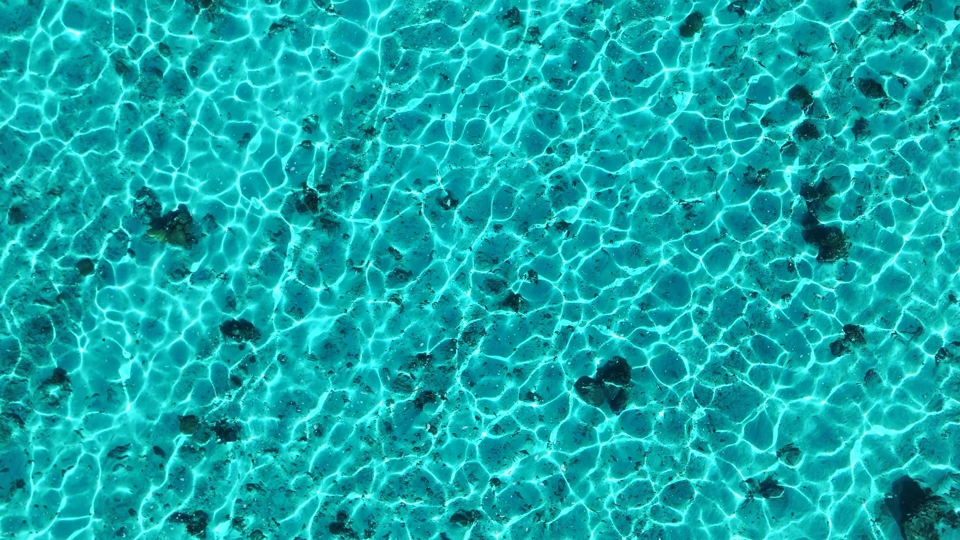 Moorea Lagoon Water_1.1.5.jpg