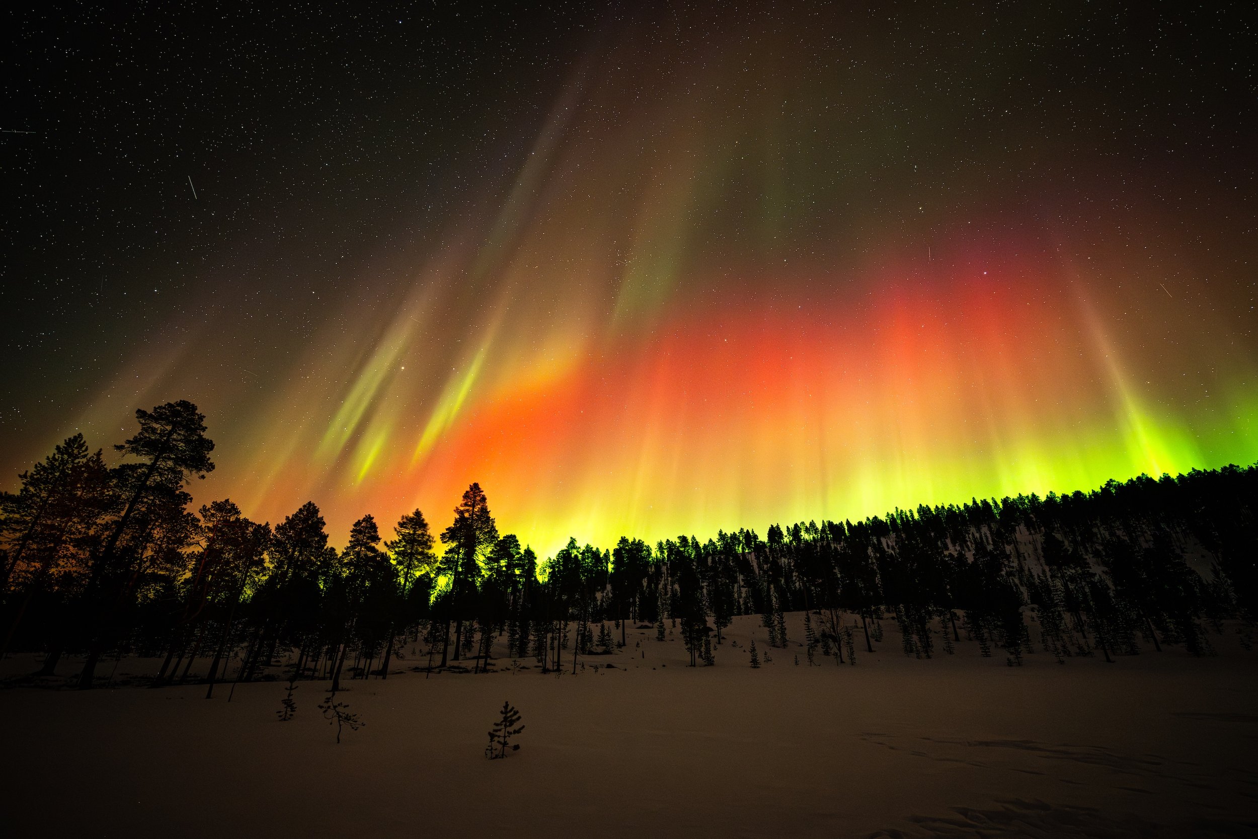 20250325AuroraBorealis6665-2 small.jpeg