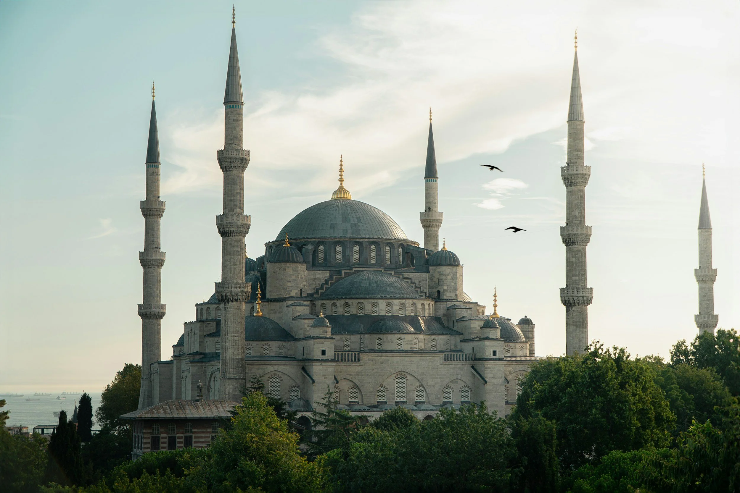 Birds fly past the Blue Mosque