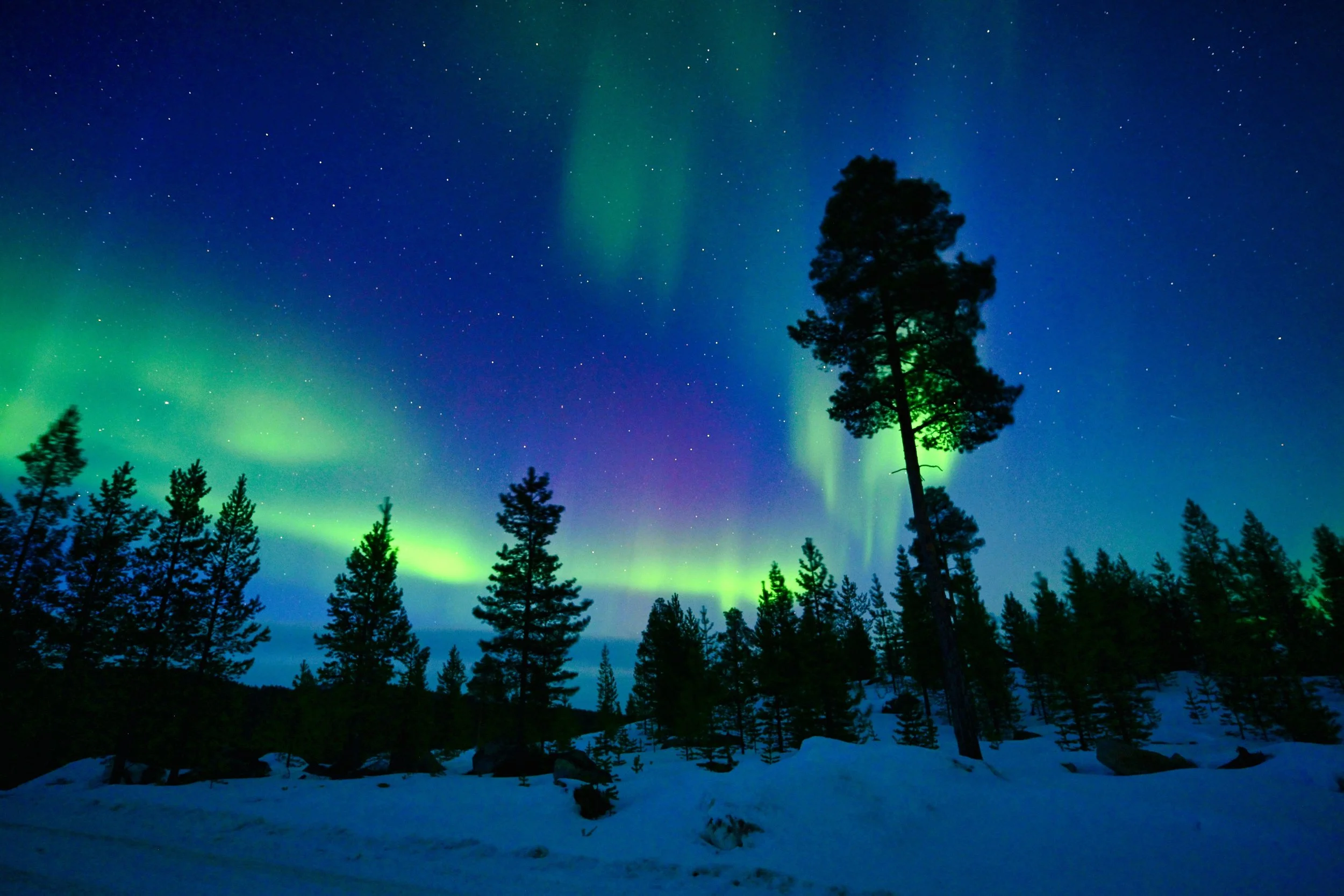 Finland Northern Lights 5 3.27.25.jpeg