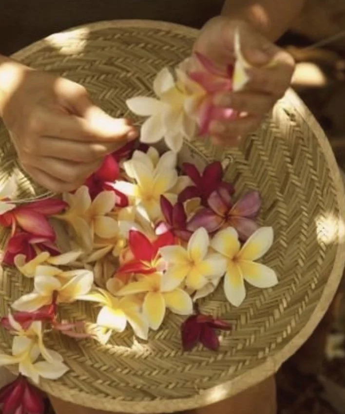 Image 7-4-25 at 2.01 PM.jpeg