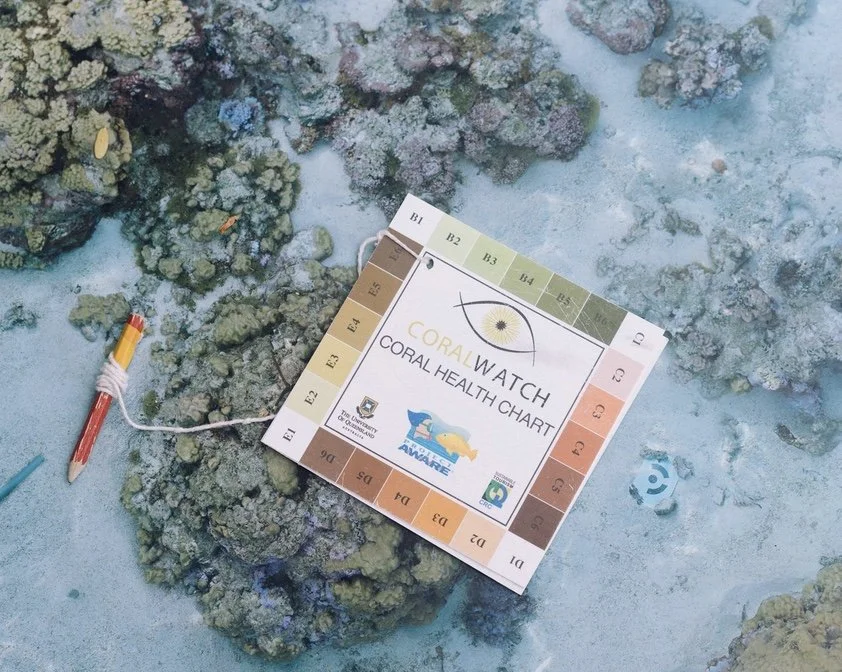 Image 7-4-25 at 2.11 PM.jpeg