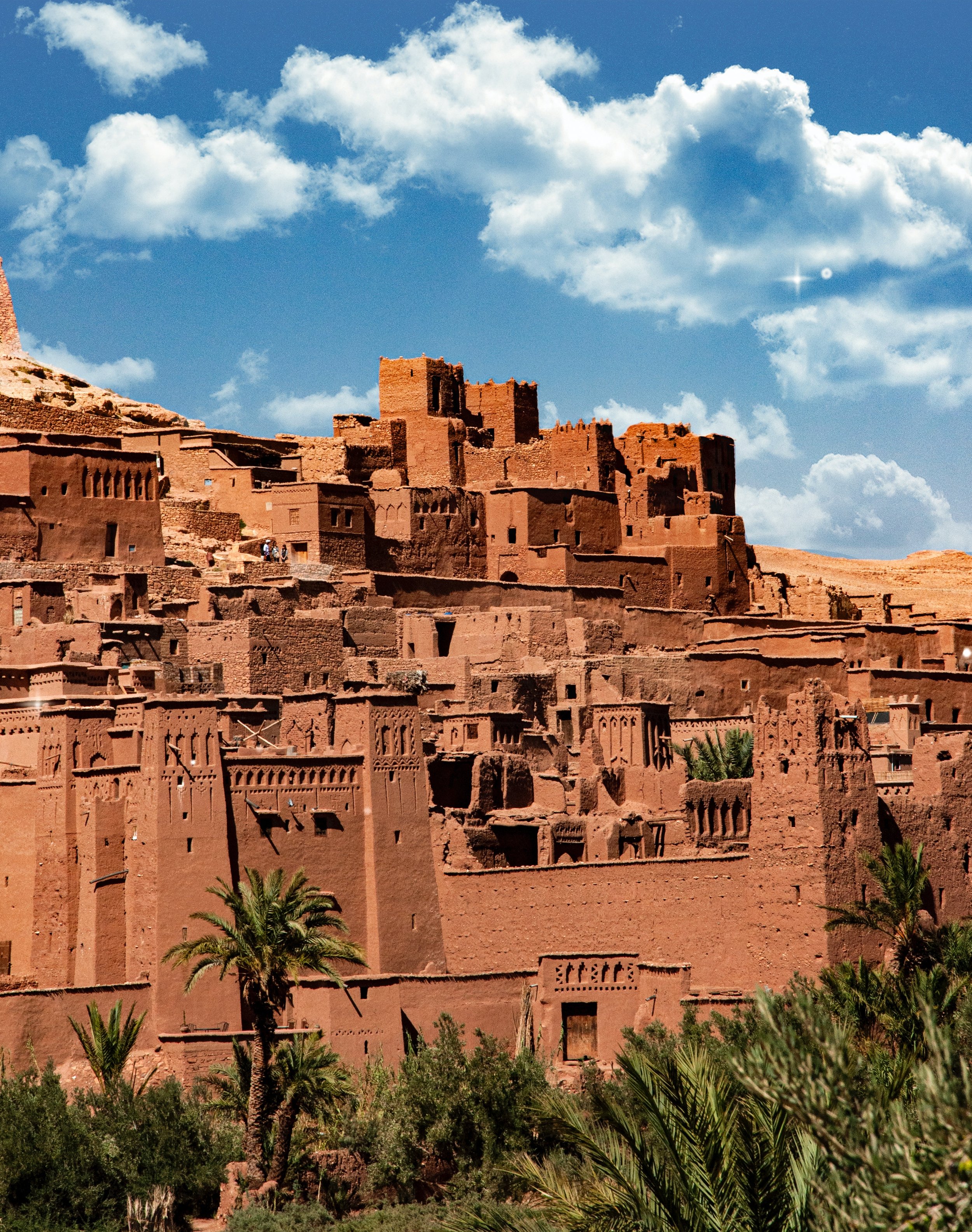 Ancient mud-brick fortress and buildings on a hillside with palm trees in the foreground and a blue sky with white clouds above.