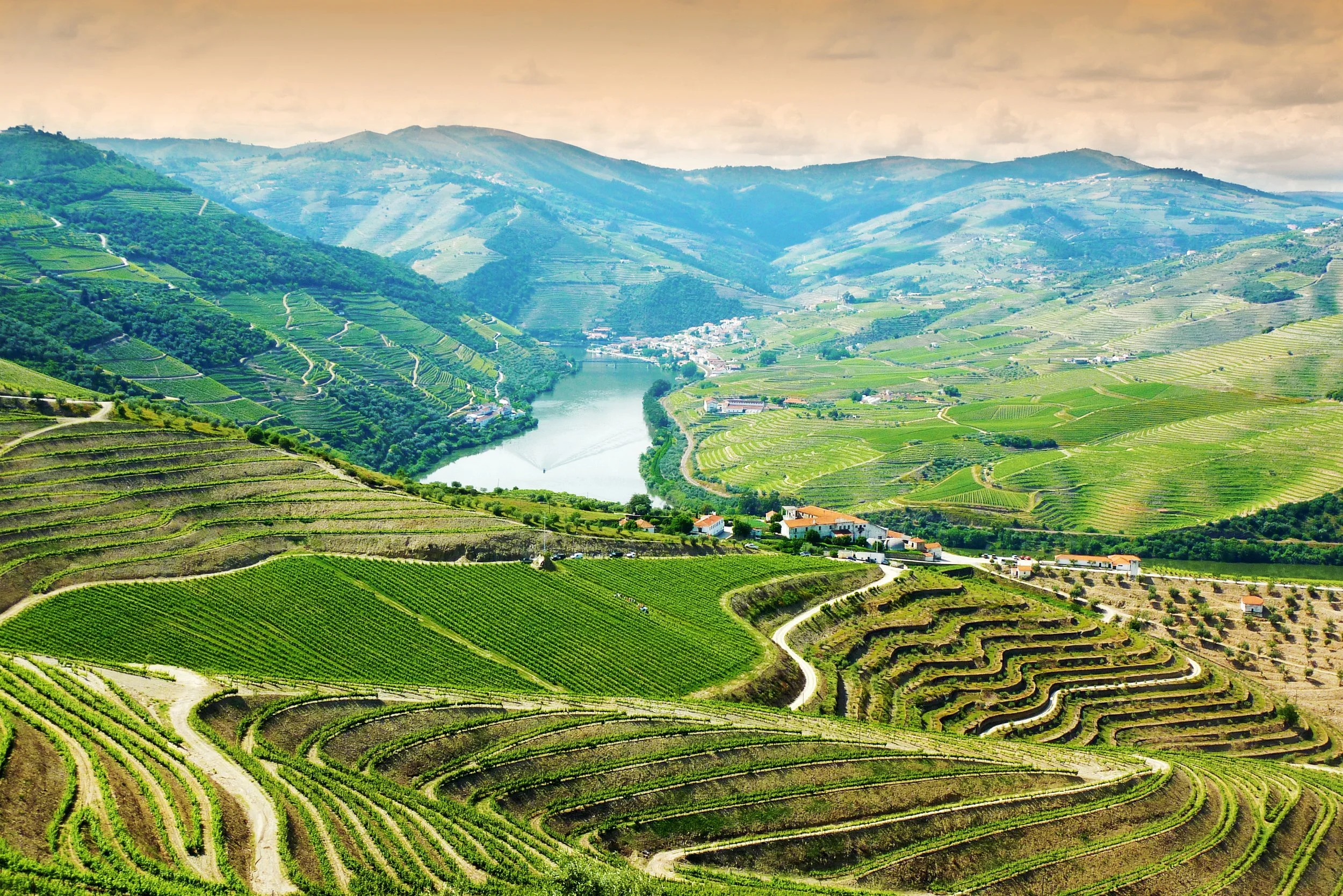 Terraced vineyards above the Duoro river