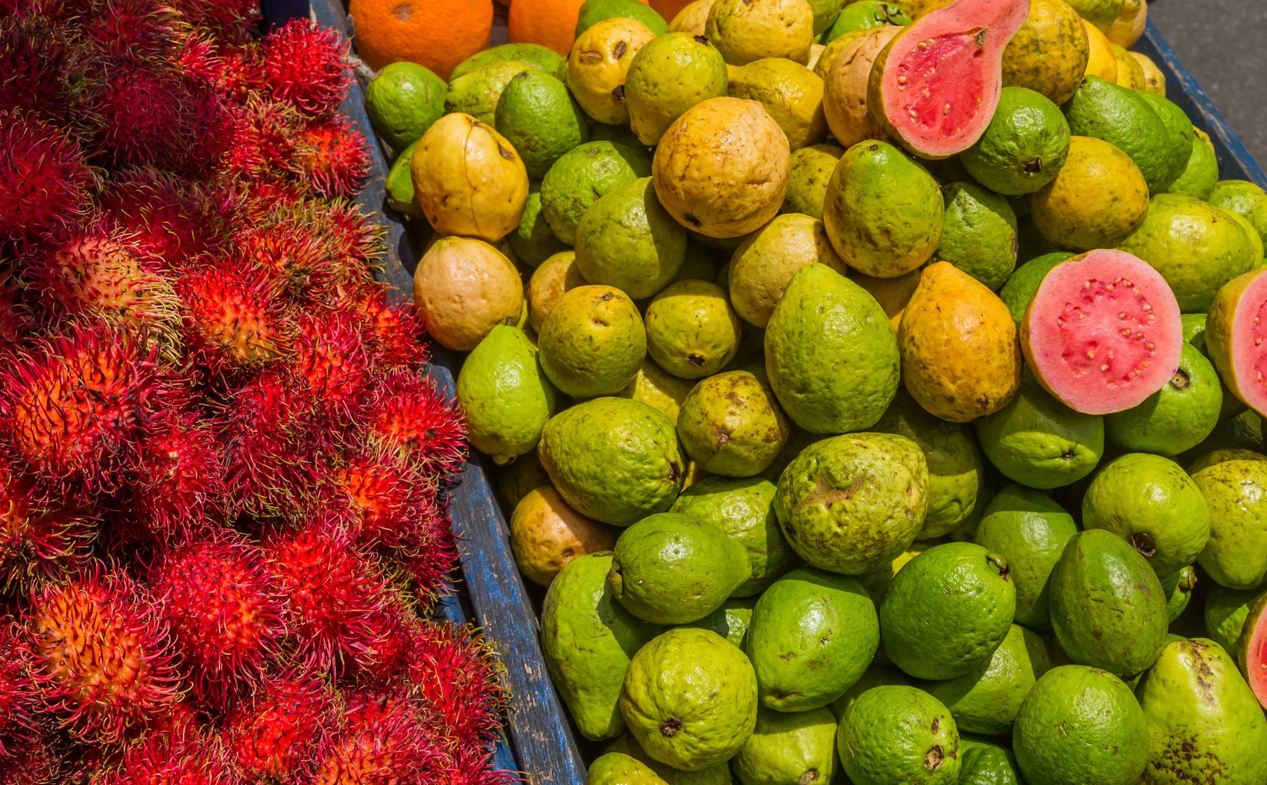 Market in San Jose Costa Rica