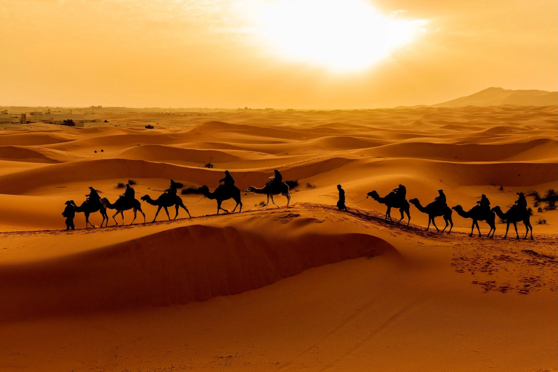 Silhouettes of a caravan of camels and their guides walking across sandy desert dunes at sunset or sunrise.
