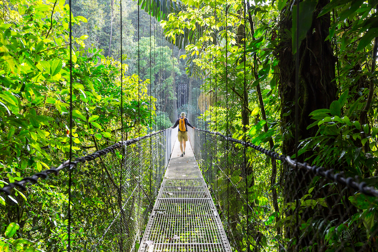 Hanging Bridge in Monteverde Cloud Forest