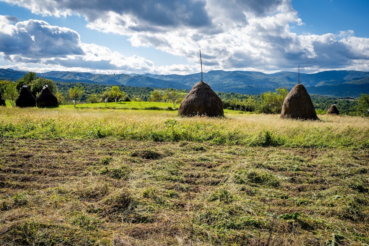 Haystacks and a field with grass and trees in the background, hills and mountains under a partly cloudy sky.