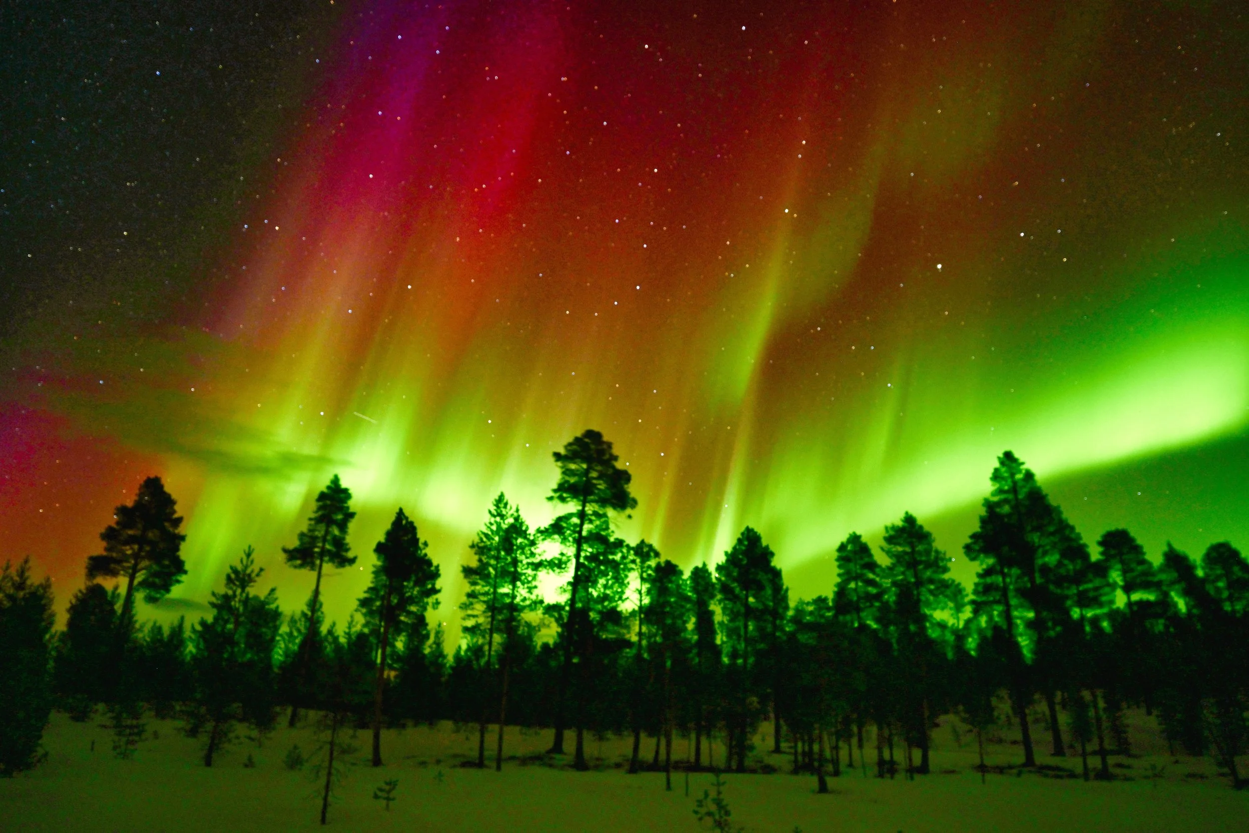 Finland Northern Lights 4 3.27.25.jpeg