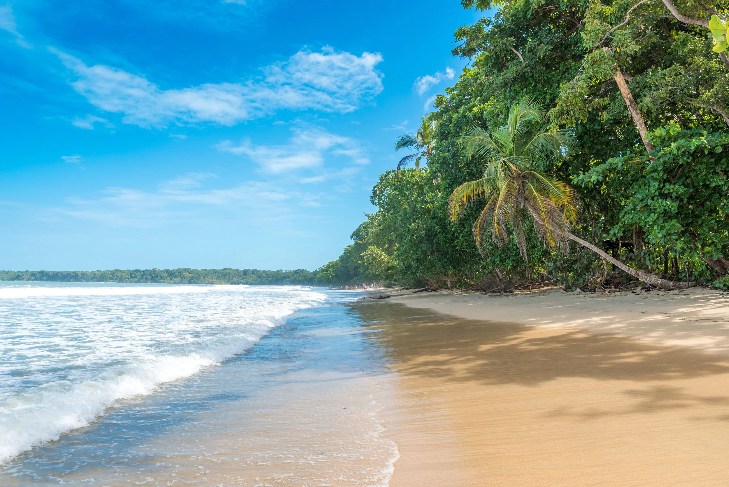 Pristine Beach in Cahuita National Park Costa Rica