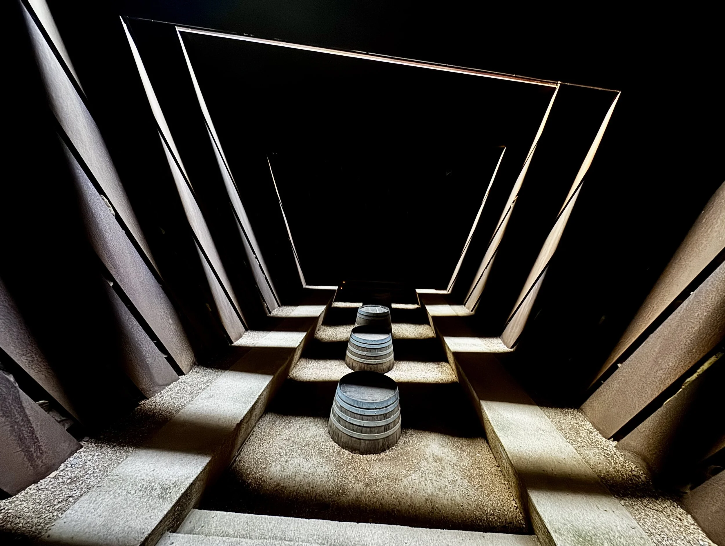 Looking up inside an award-winning winery in Palamos, Spain from inside a building with concrete walls and benches, with sunlight illuminating the scene.