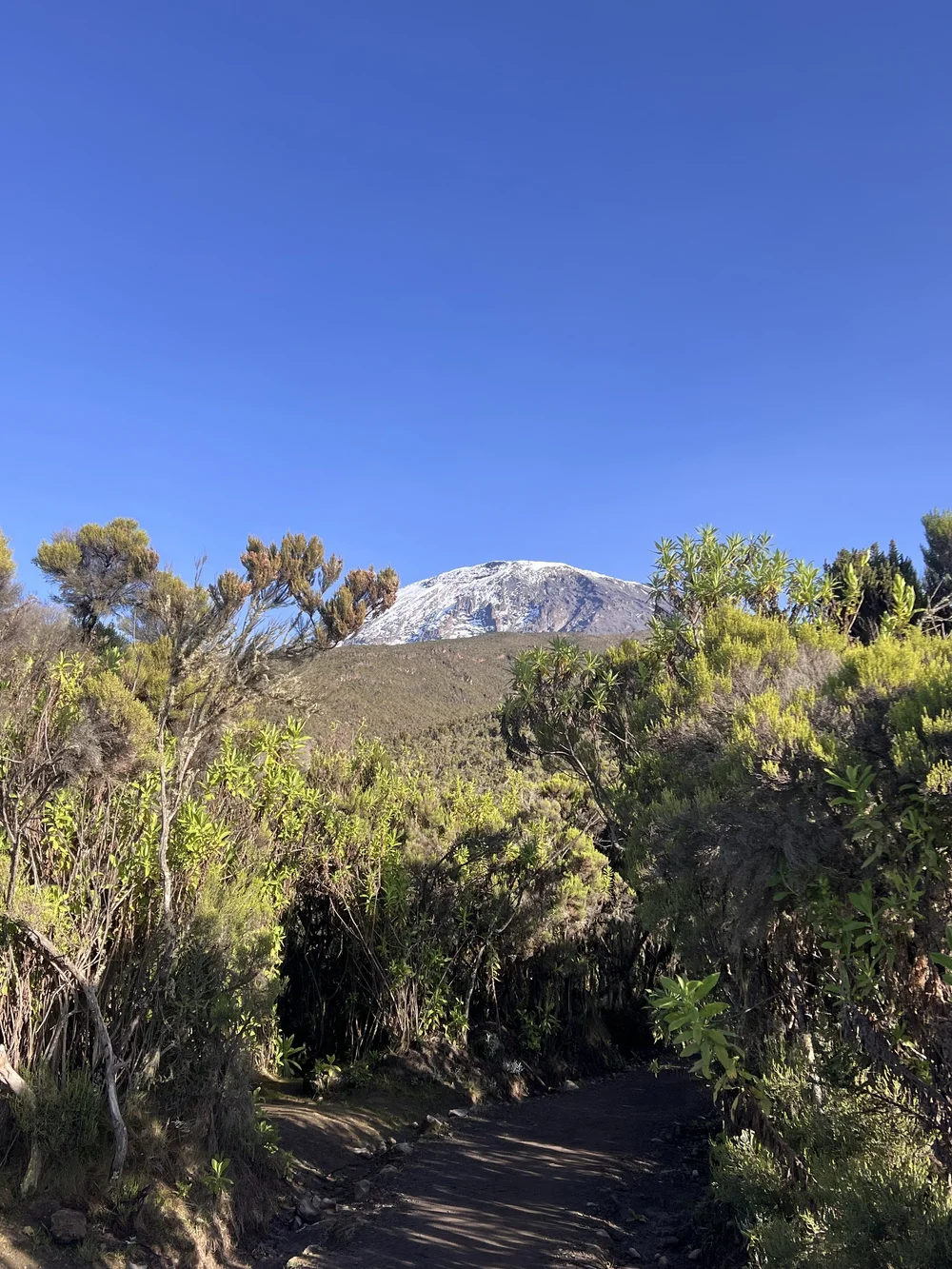 IMG_1801.jpeg