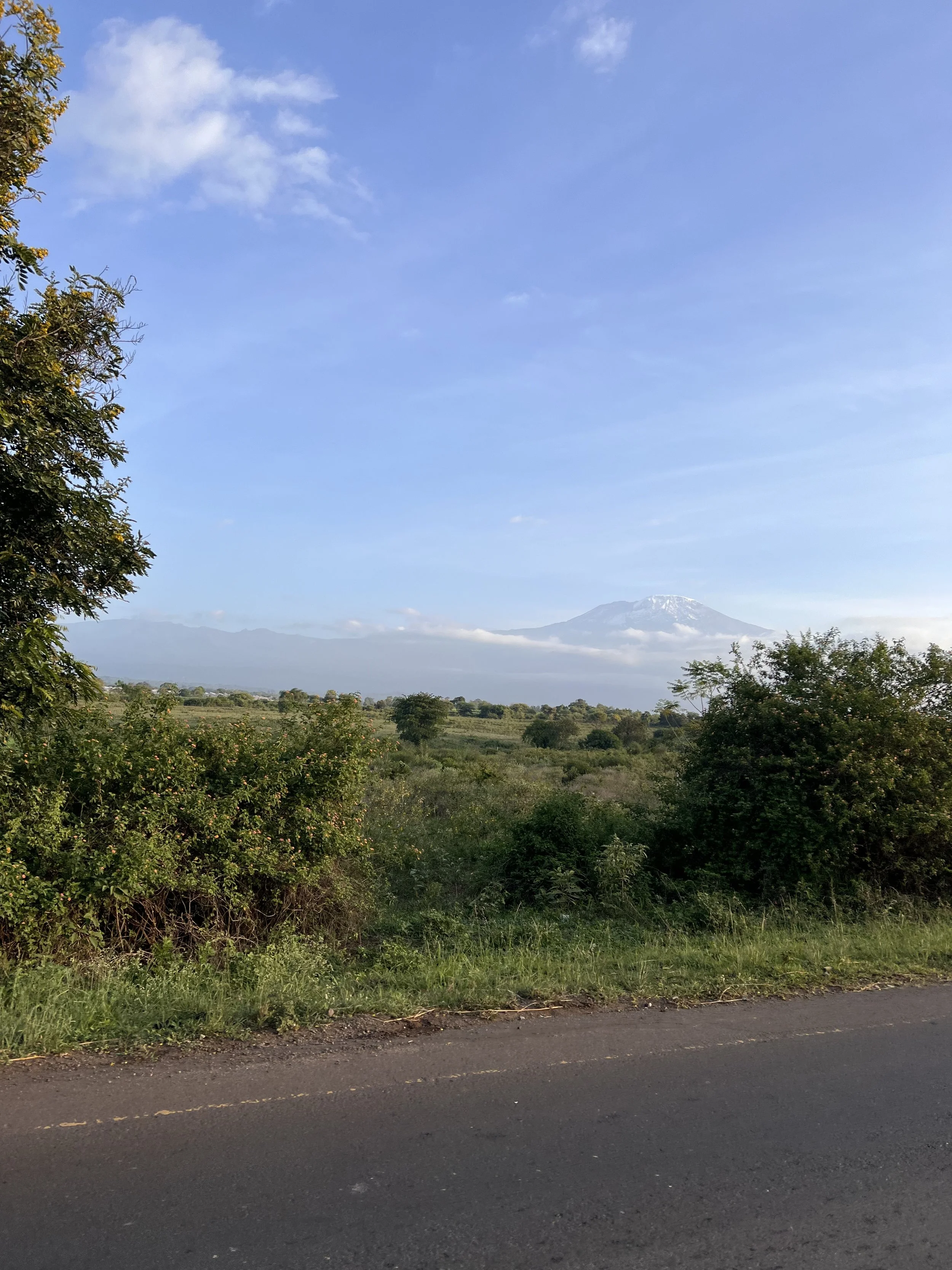 IMG_1834.jpeg