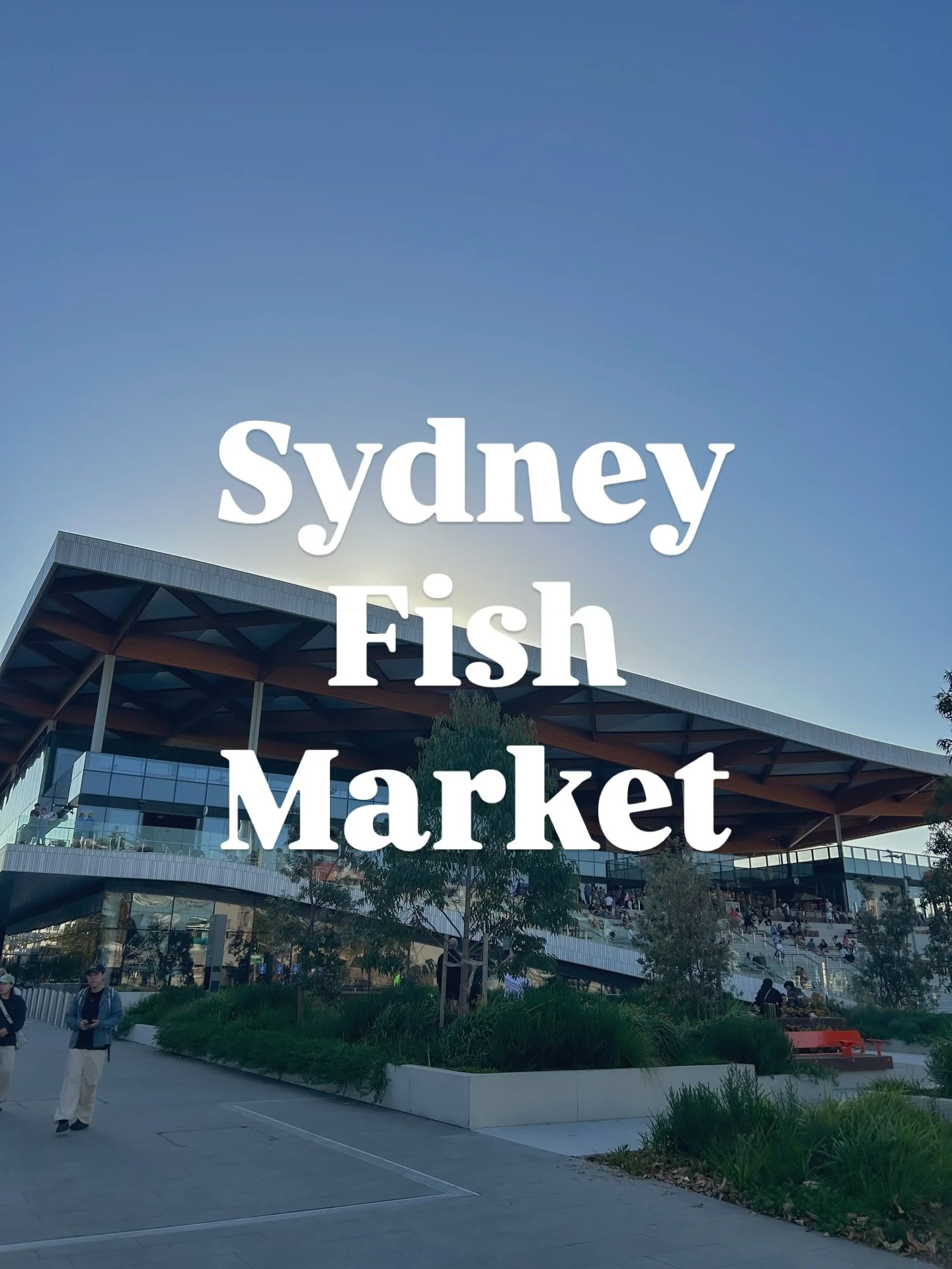 Question for my fellow seafood lovers! What&rsquo;s your go-to order at a fish market?

I grew up along the coast in Virginia where seafood was a staple, so checking out the new Sydney Fish Market during opening week was non-negotiable. It didn&rsquo