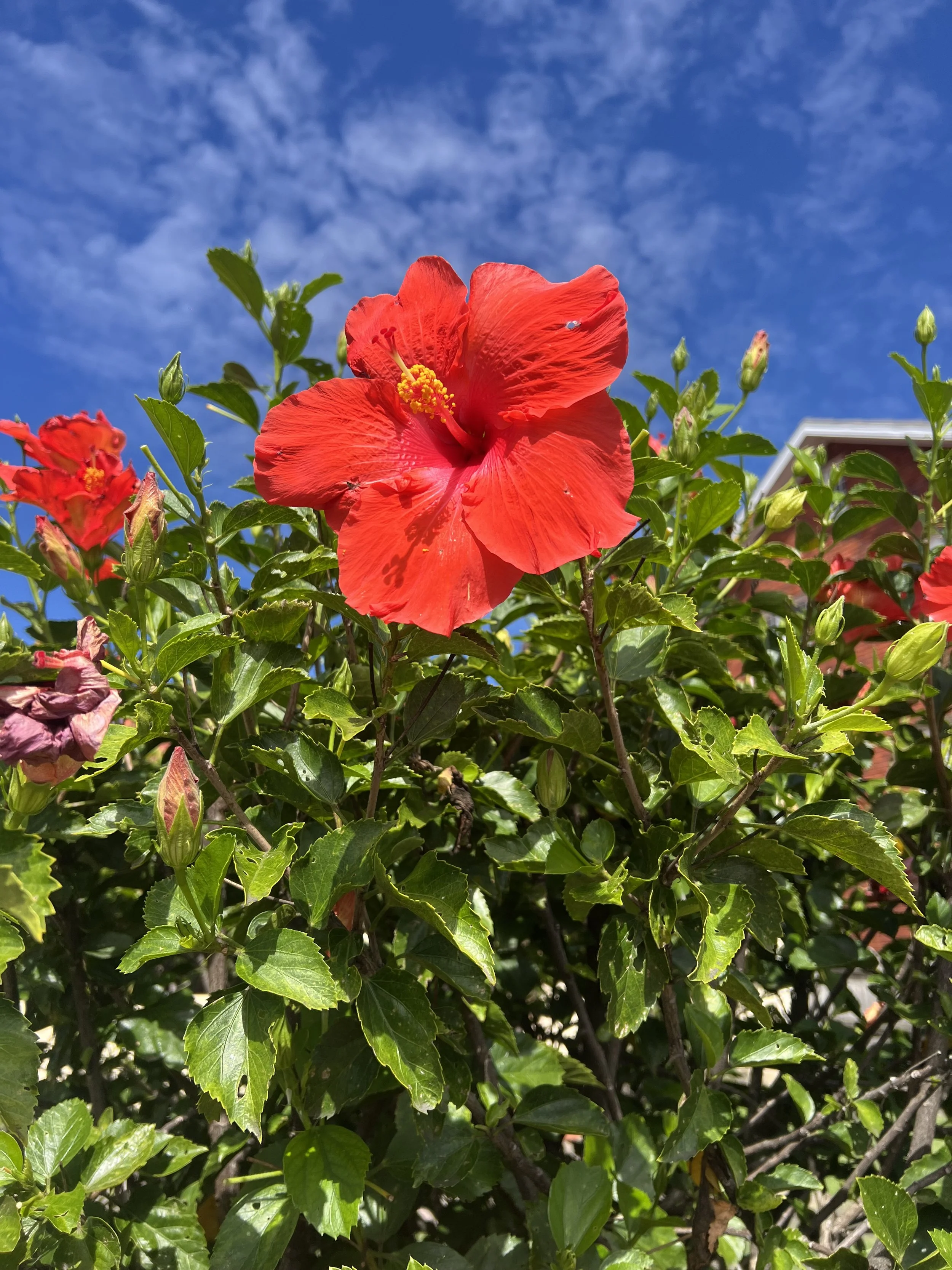 12 Things This Year Taught Me About Showing Up